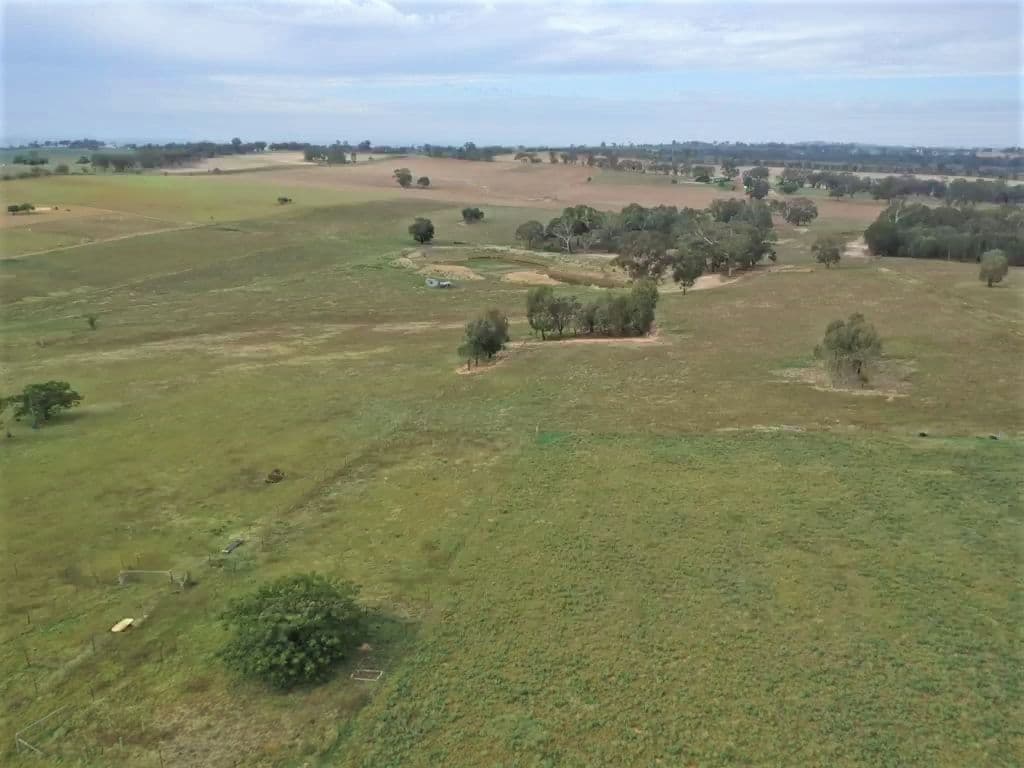 93 Prunevale Road Kingsvale, Young NSW 2594, Young - Thumbnail 3