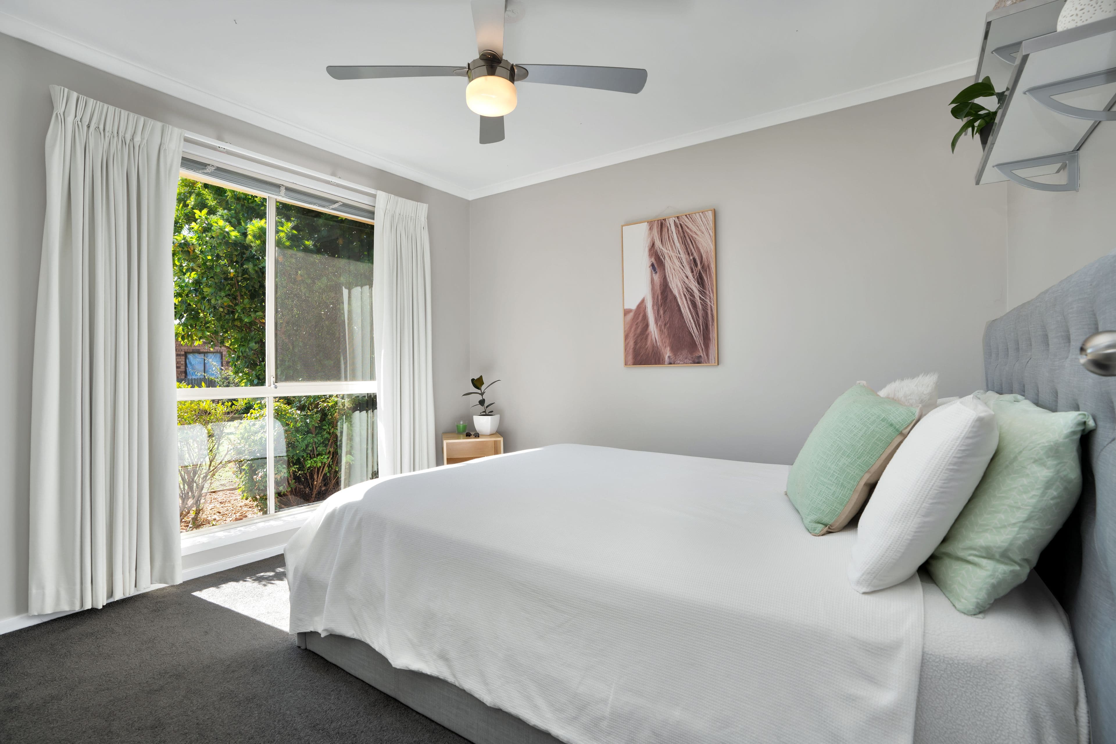 8 Palm Close, North Nowra NSW 2541, North Nowra - Thumbnail 7