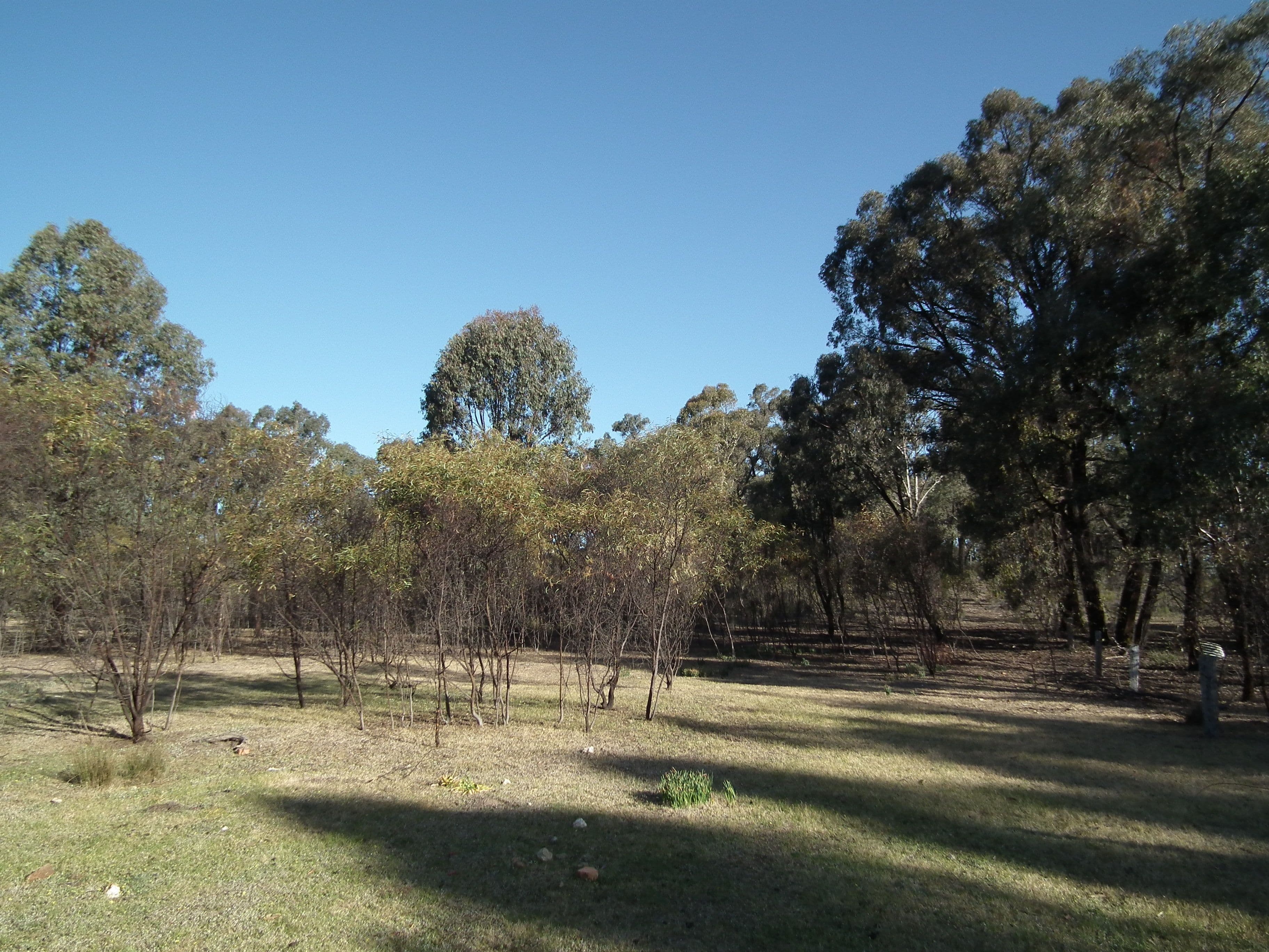 CA 30 Murchison-Whroo Road, Nagambie VIC 3608, Nagambie - Thumbnail 6
