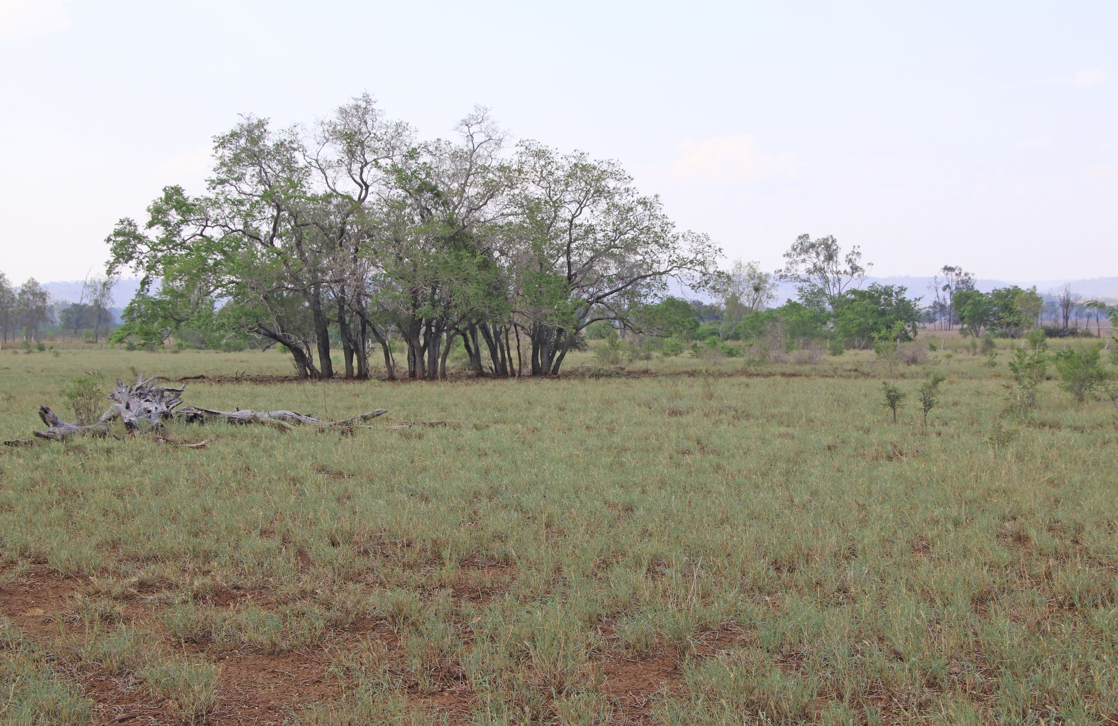 47413 Burnett Highway, Dululu QLD 4702, Dululu - Thumbnail 7