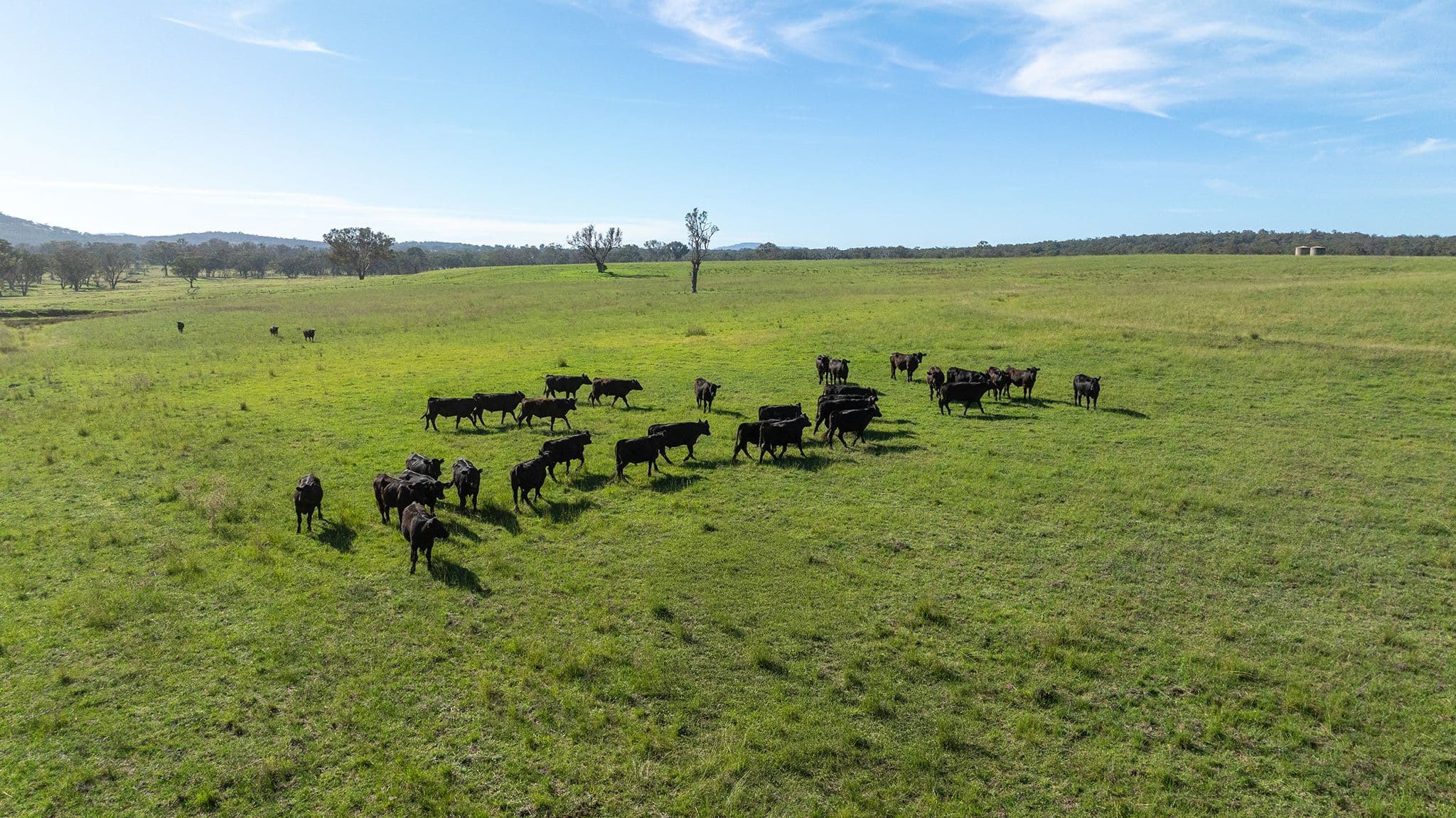 610 Gwydir Park Road, Torryburn NSW 2358, Torryburn - Thumbnail 3