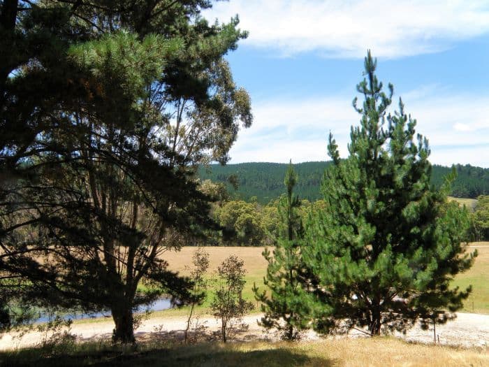 Lot 84 Balingup Nannup Road, Nannup WA 6275, Nannup - Thumbnail 8