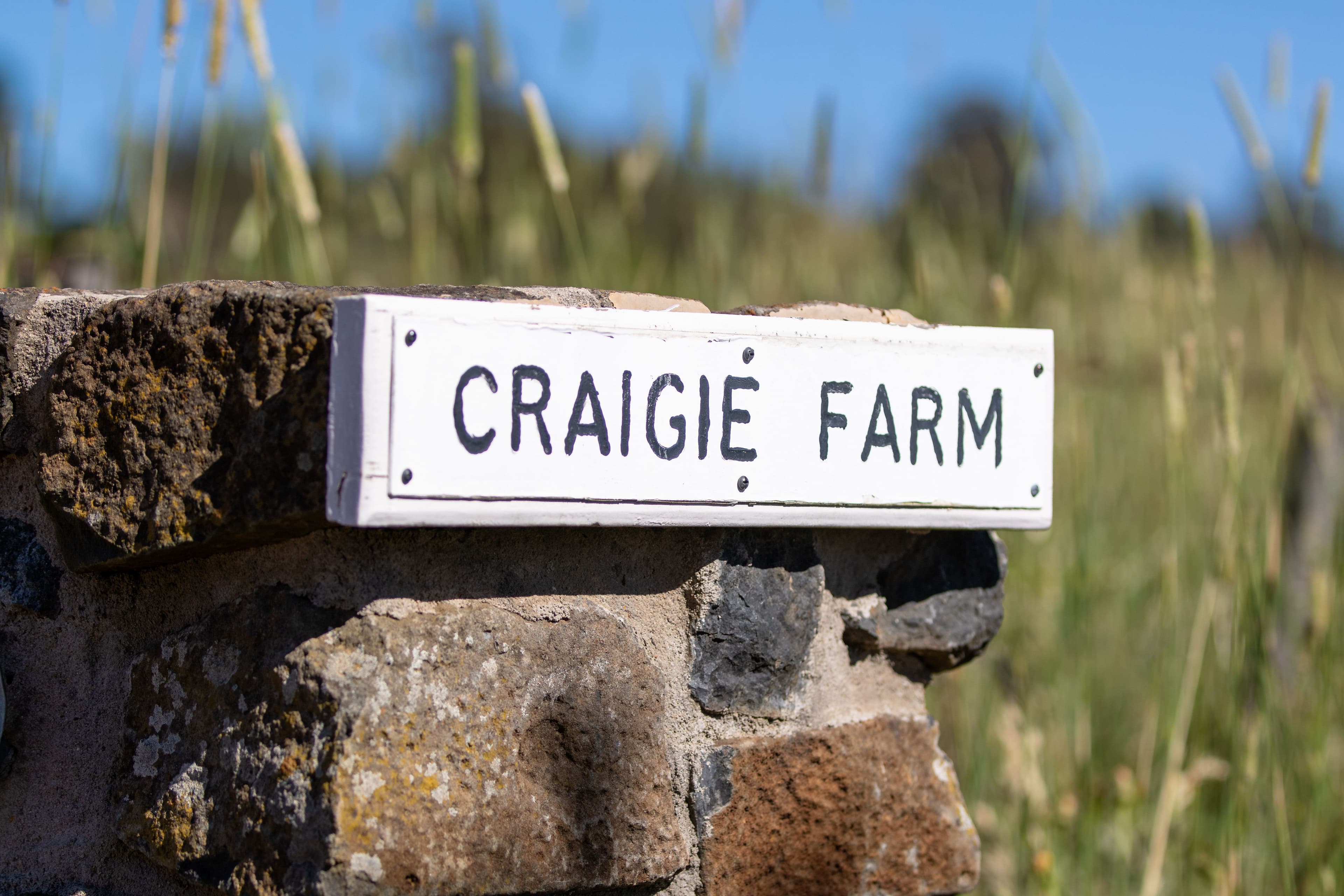 228 Old Gostwyck Road, Armidale NSW 2350, Armidale - Thumbnail 5