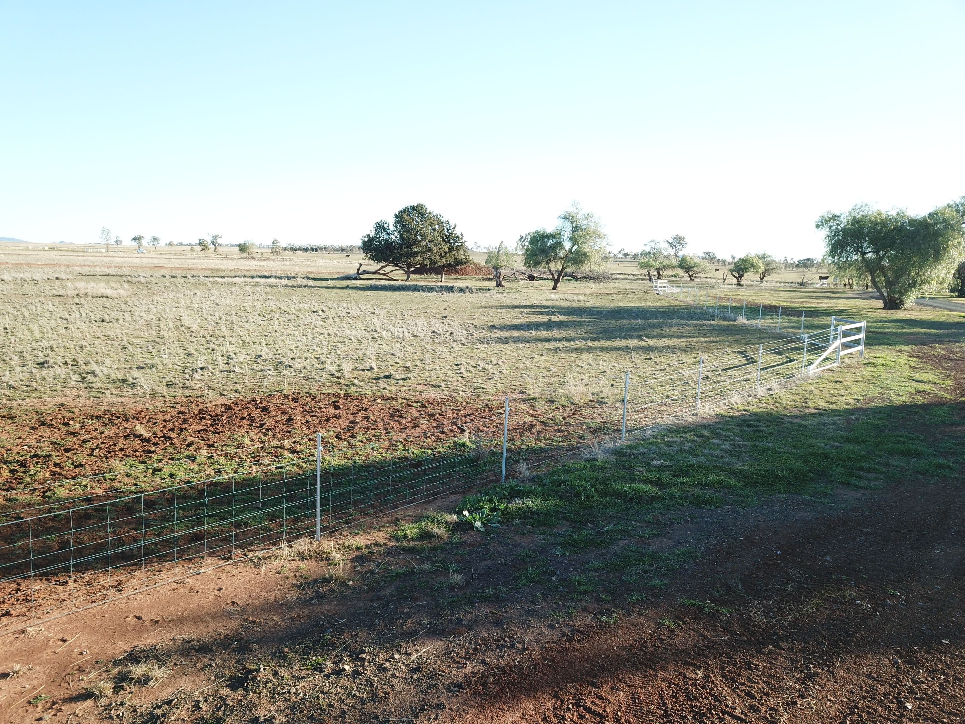 Lot 102, 63 Phillip Lane, Tamworth NSW 2340, Tamworth - Thumbnail 3