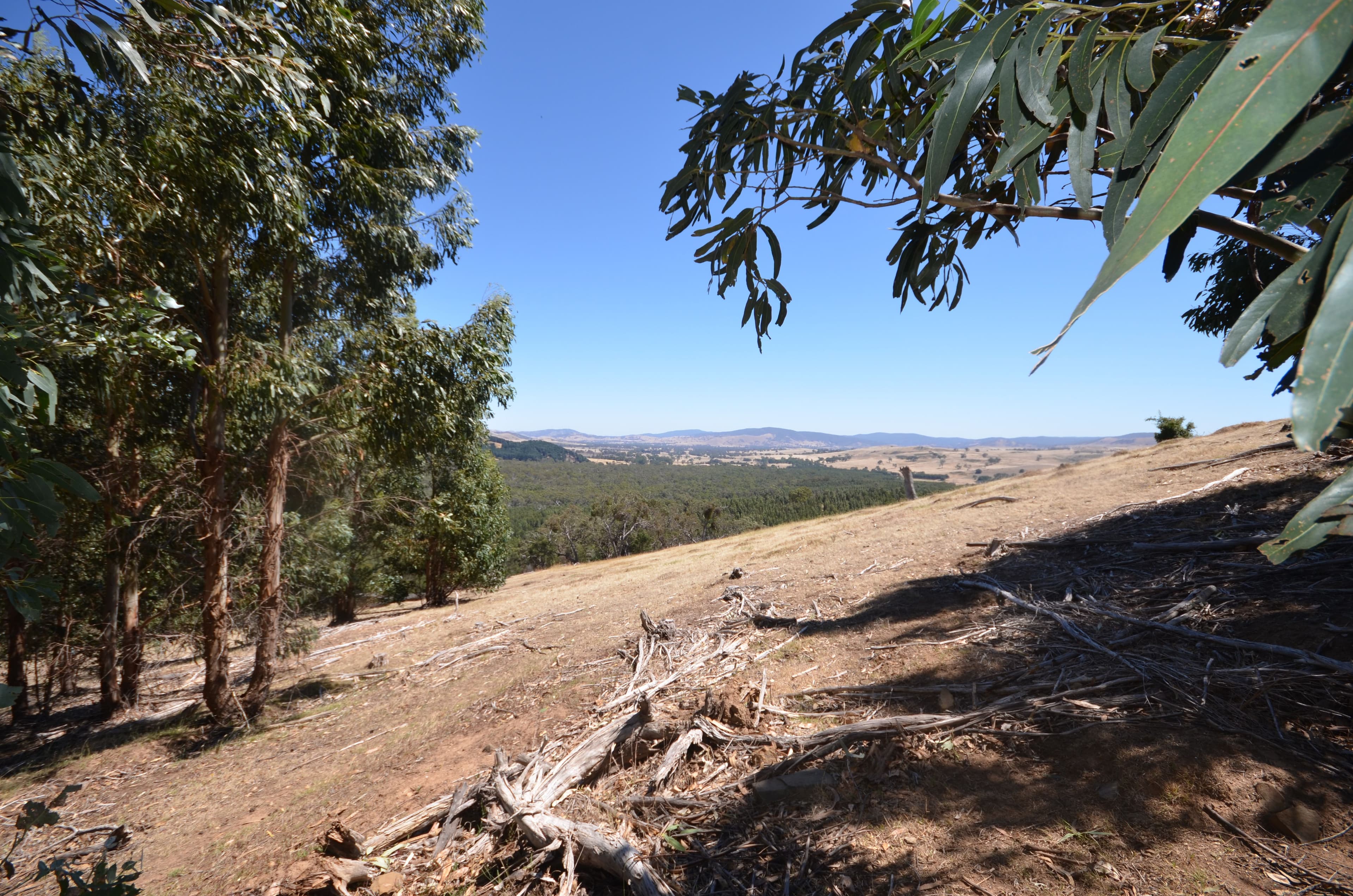 Glenlogie VIC 3469, Glenlogie - Thumbnail 5