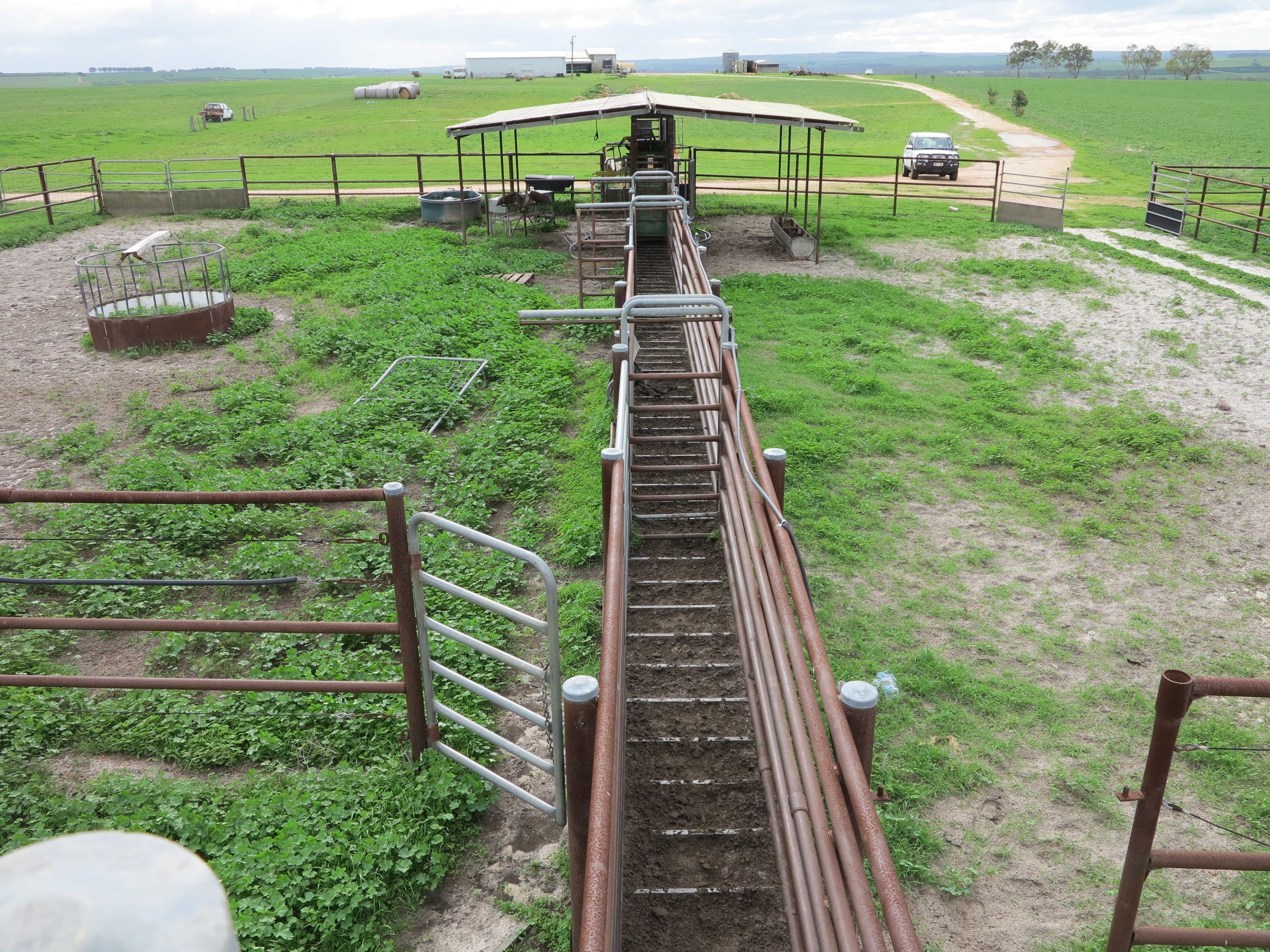 Aparima Farm, Milo Road, Dongara WA 6525, Dongara - Thumbnail 6