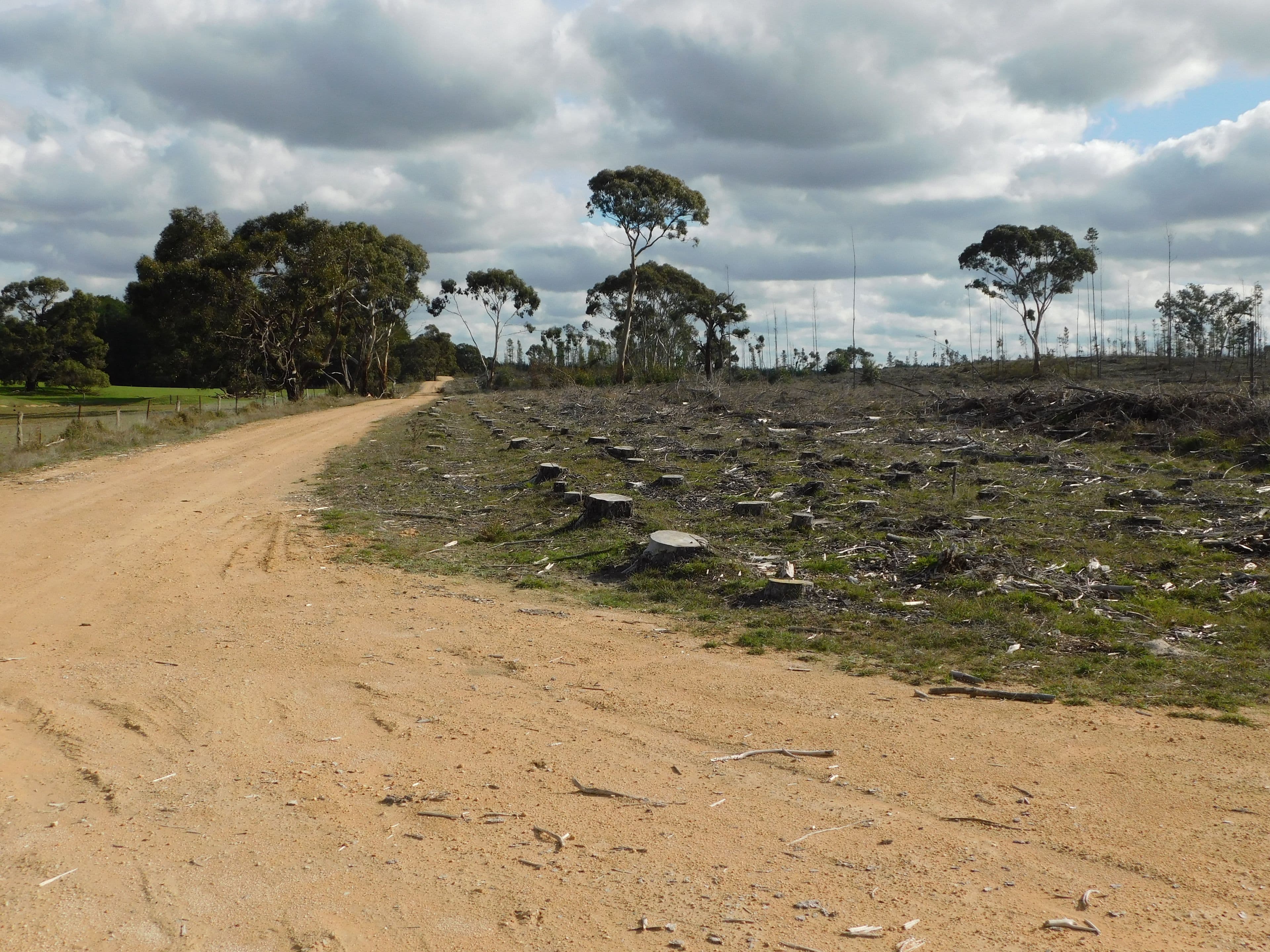 Lot 8 Bangham Road, Bangham SA 5268, Bangham - Thumbnail 8