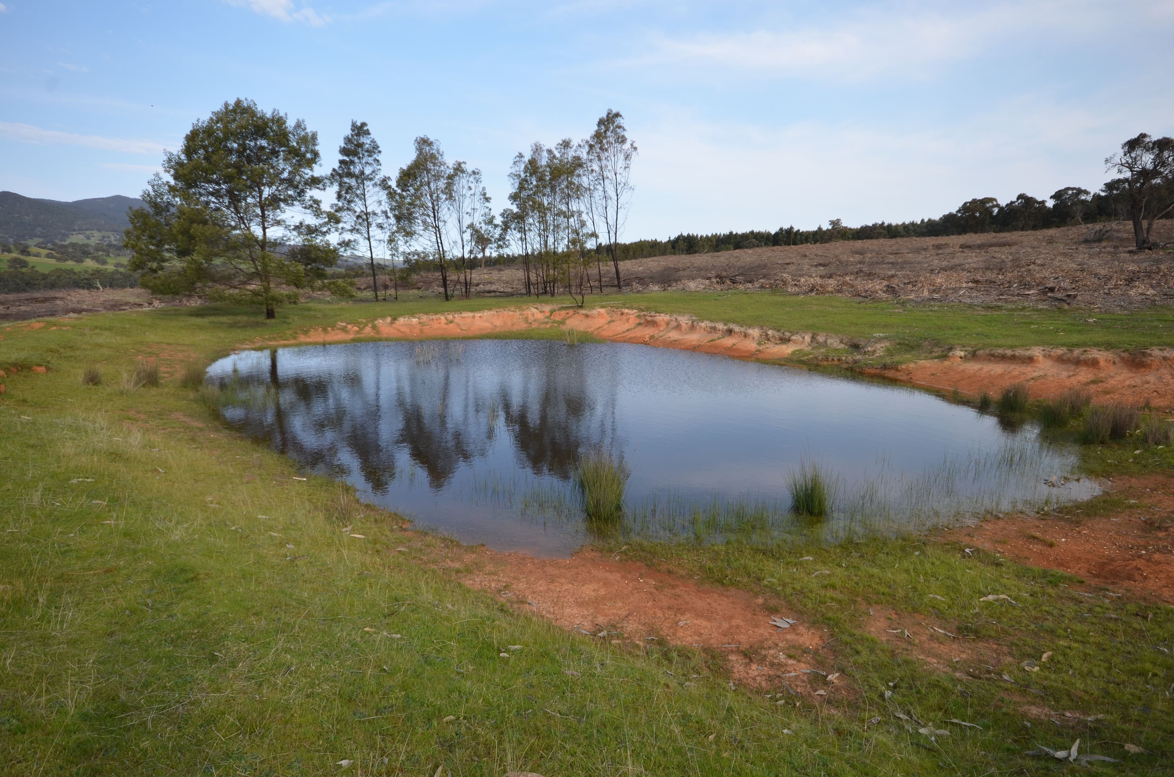 Pilgrim South Buangor - Ben Nevis Road, WARRAK VIC 3377, Warrak - Thumbnail 4