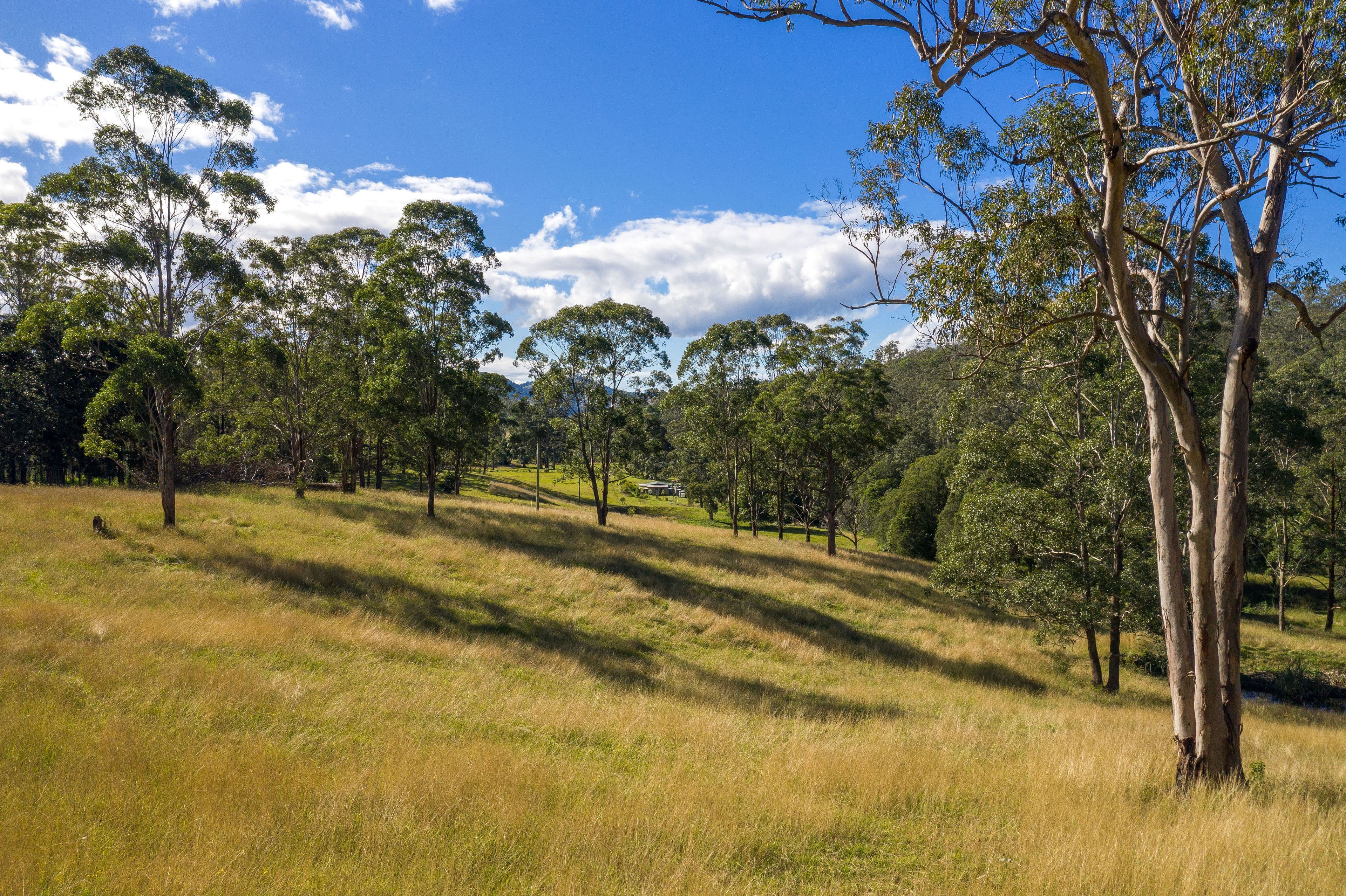 132 Bimbadeen Road, Wherrol Flat NSW 2429, Wherrol Flat - Thumbnail 2