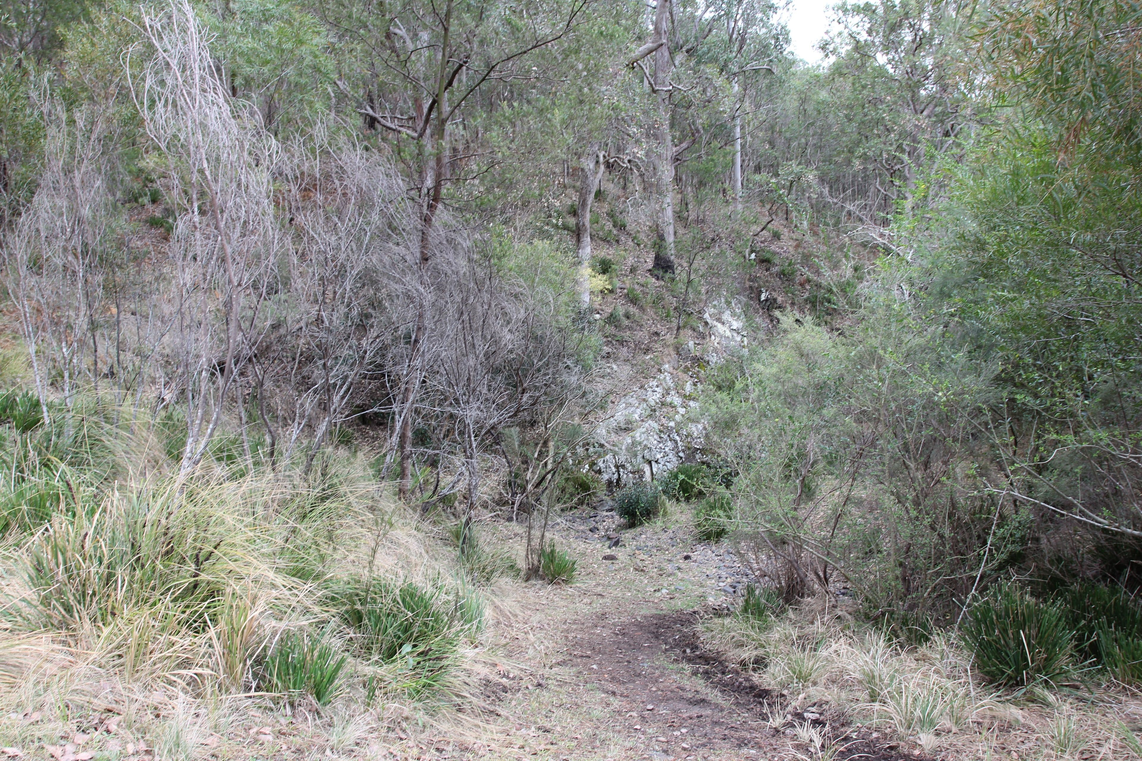 Lot 2 Rover Park Road, Sandy Hill NSW 2372, Sandy Hill - Thumbnail 6