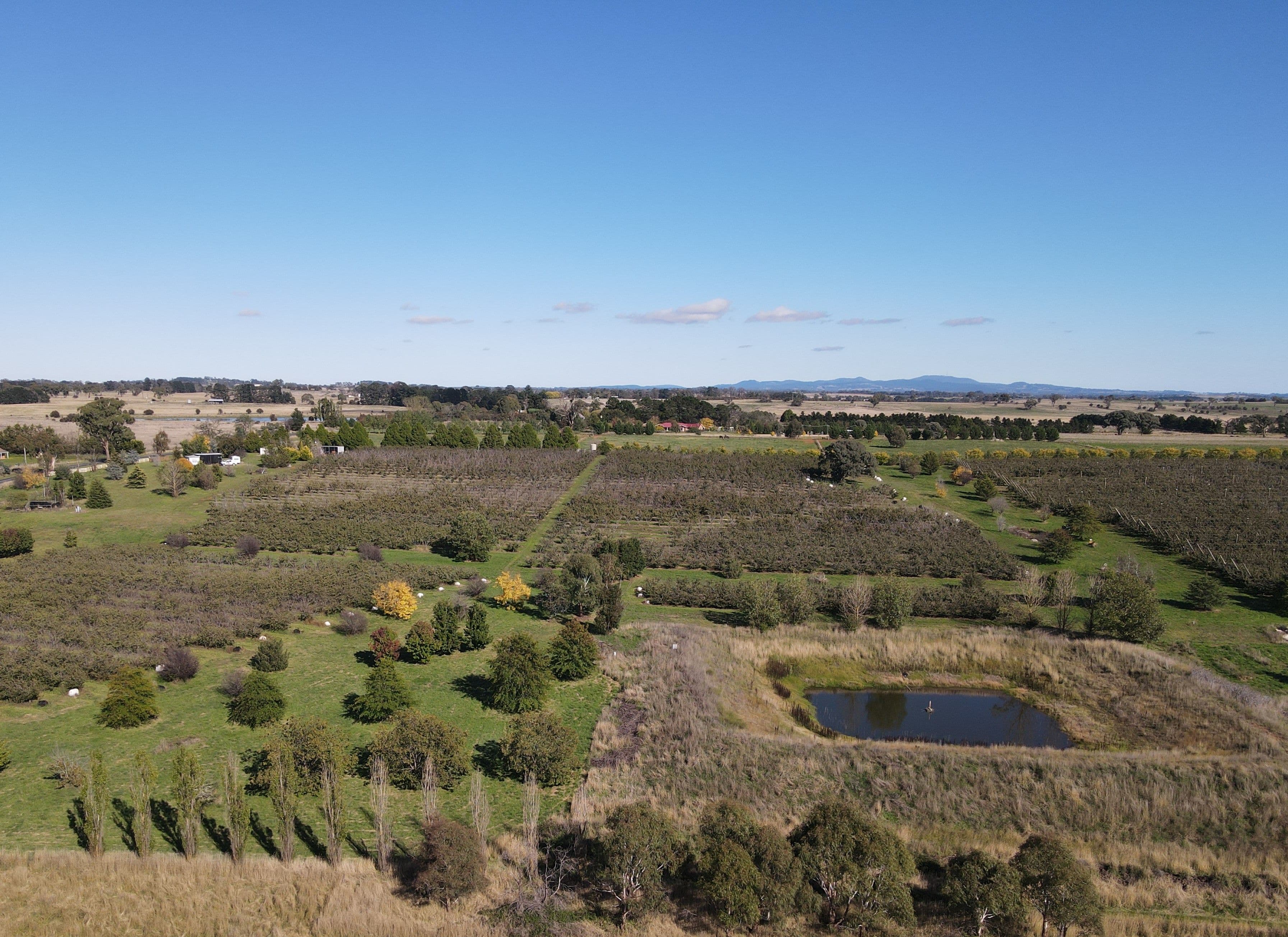 864 Vittoria Road, Guyong NSW 2798, Guyong - Thumbnail 7