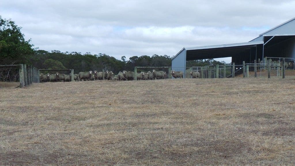628 Porongurup Road, Mount Barker WA 6324, Mount Barker - Thumbnail 2