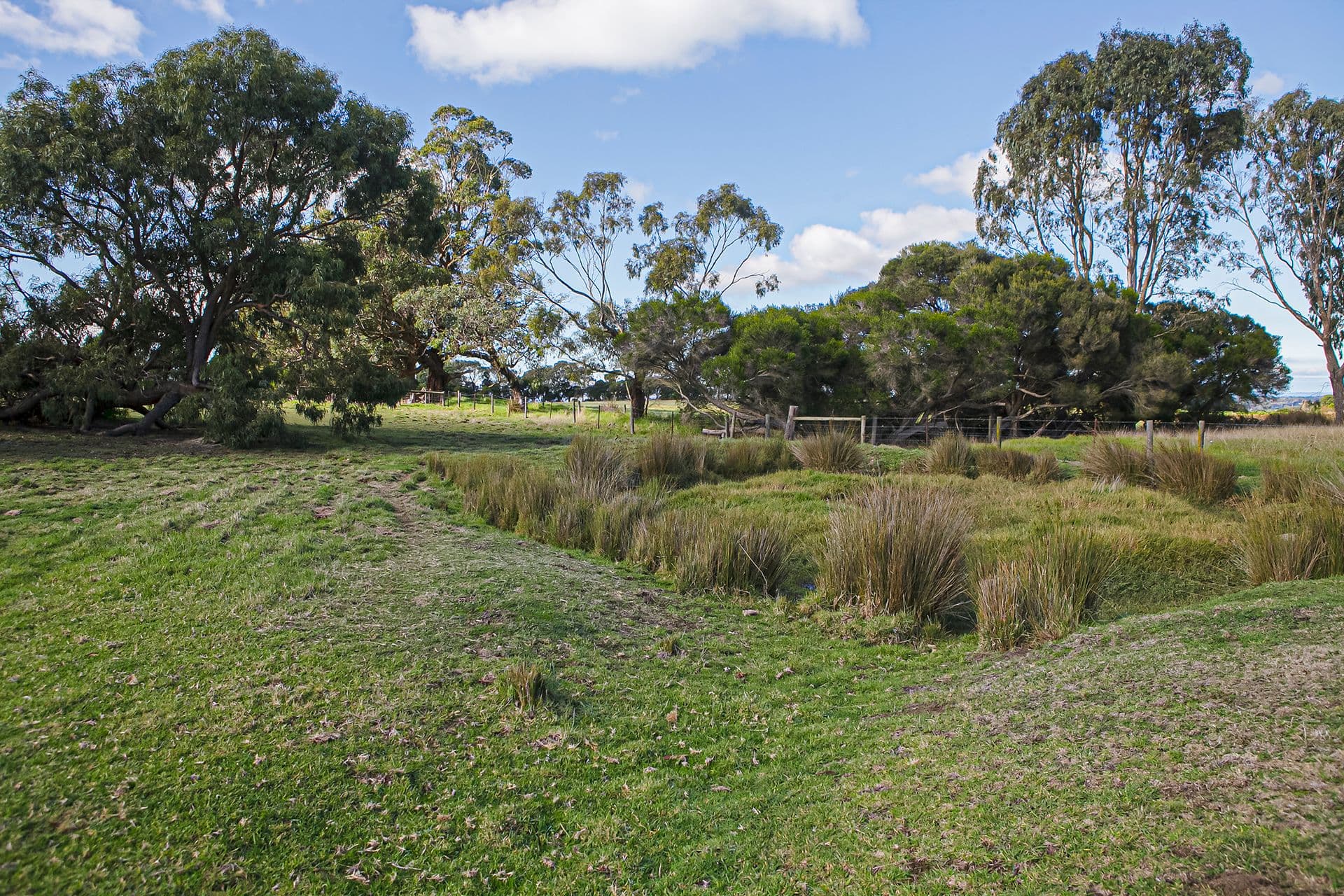 92 Highfield Drive, Langwarrin South VIC 3911, Langwarrin South - Thumbnail 6