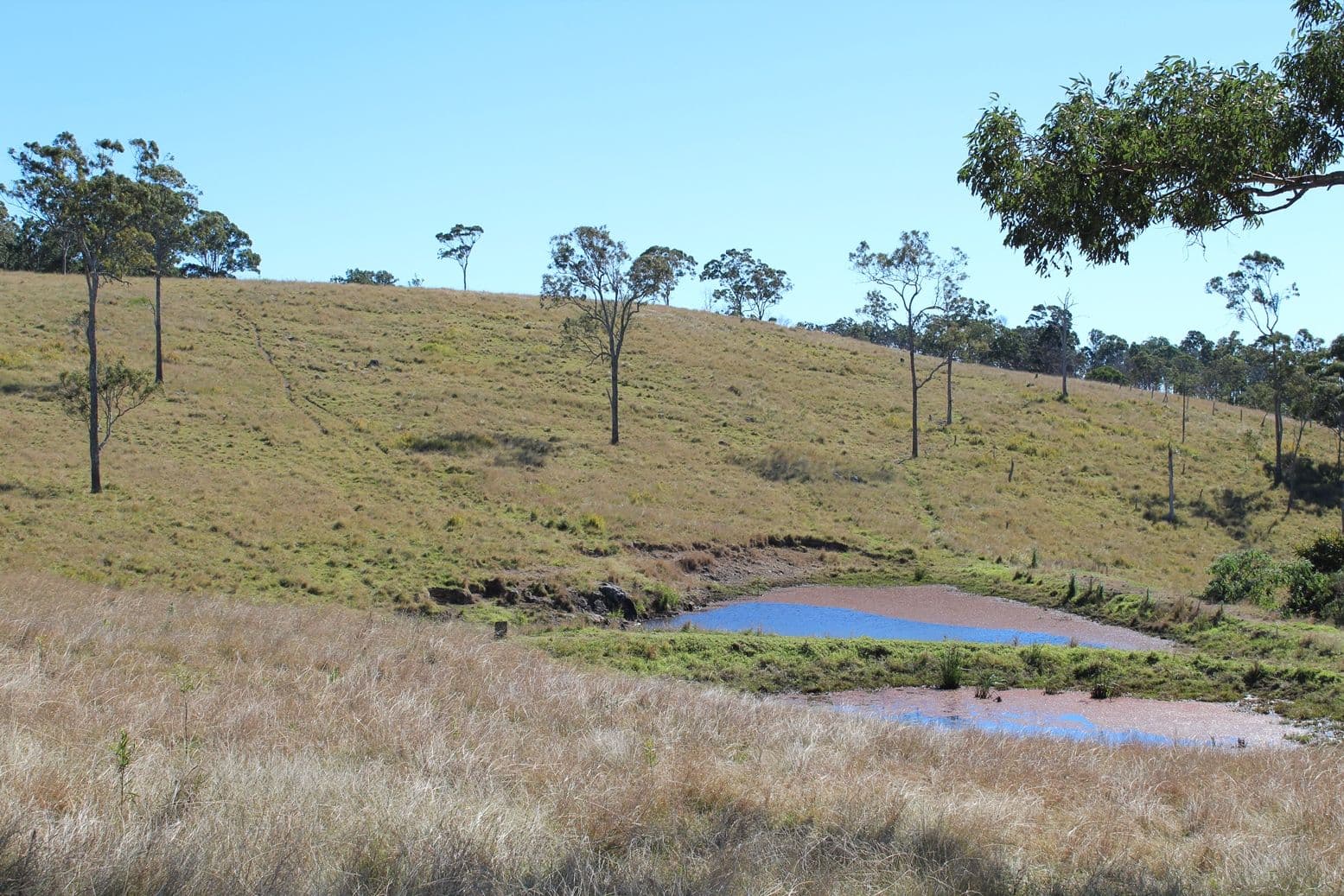 390 Pohlmans Range Road, Scrub Creek QLD 4313, Scrub Creek - Thumbnail 3