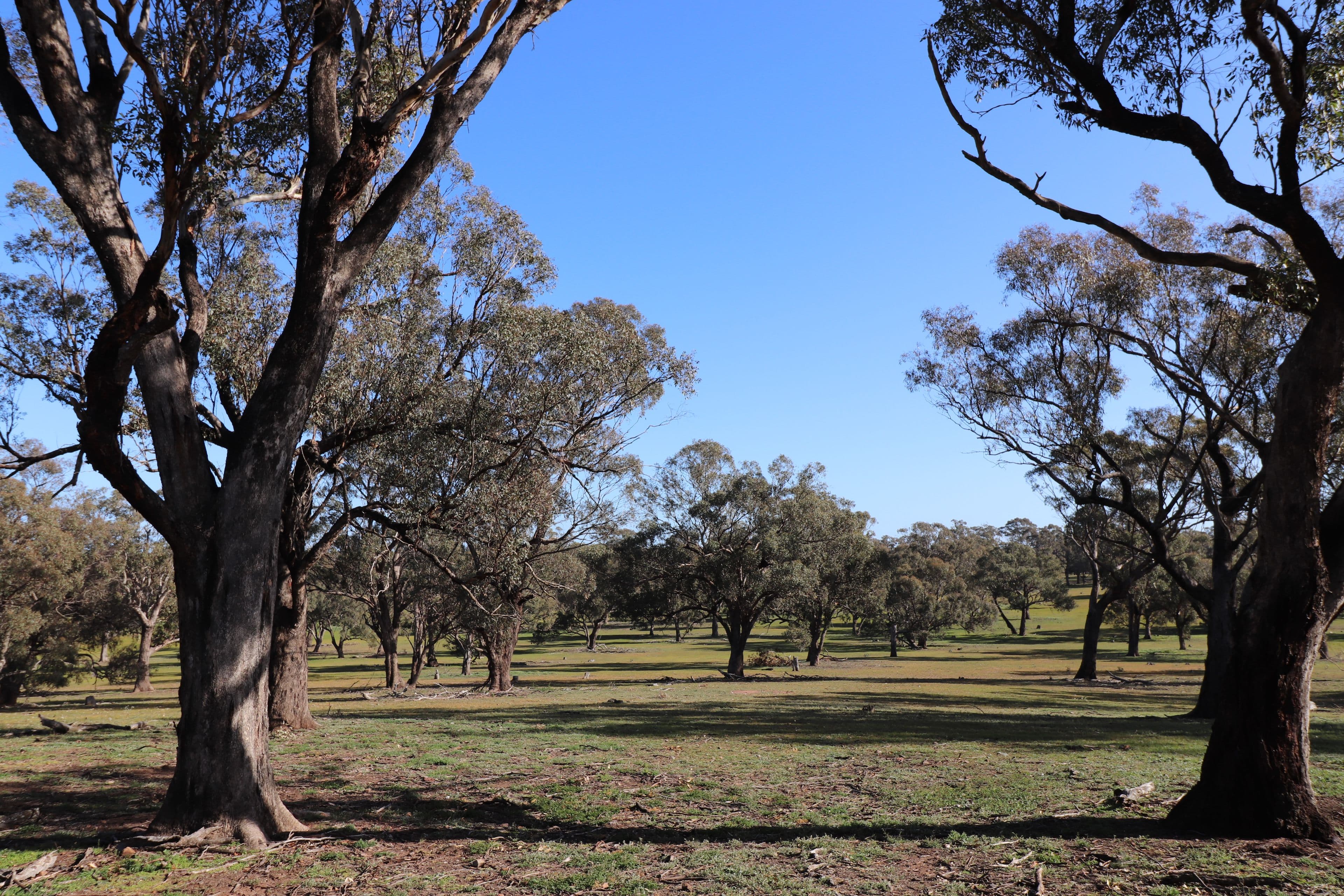 195 Camp Road, Murchison VIC 3610, Murchison - Thumbnail 7