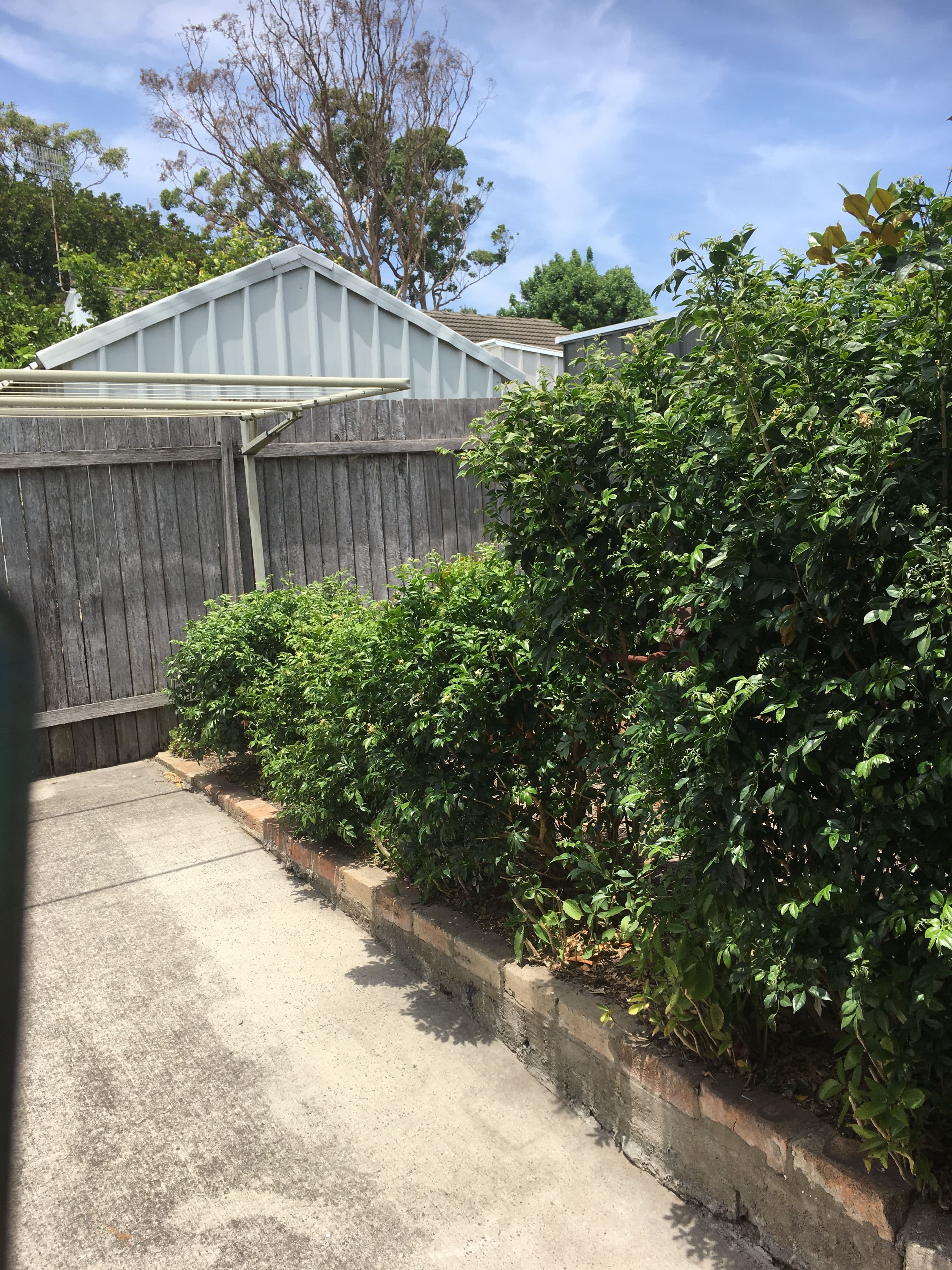 15a Sydney Avenue, Umina Beach NSW 2257, Umina Beach - Thumbnail 3