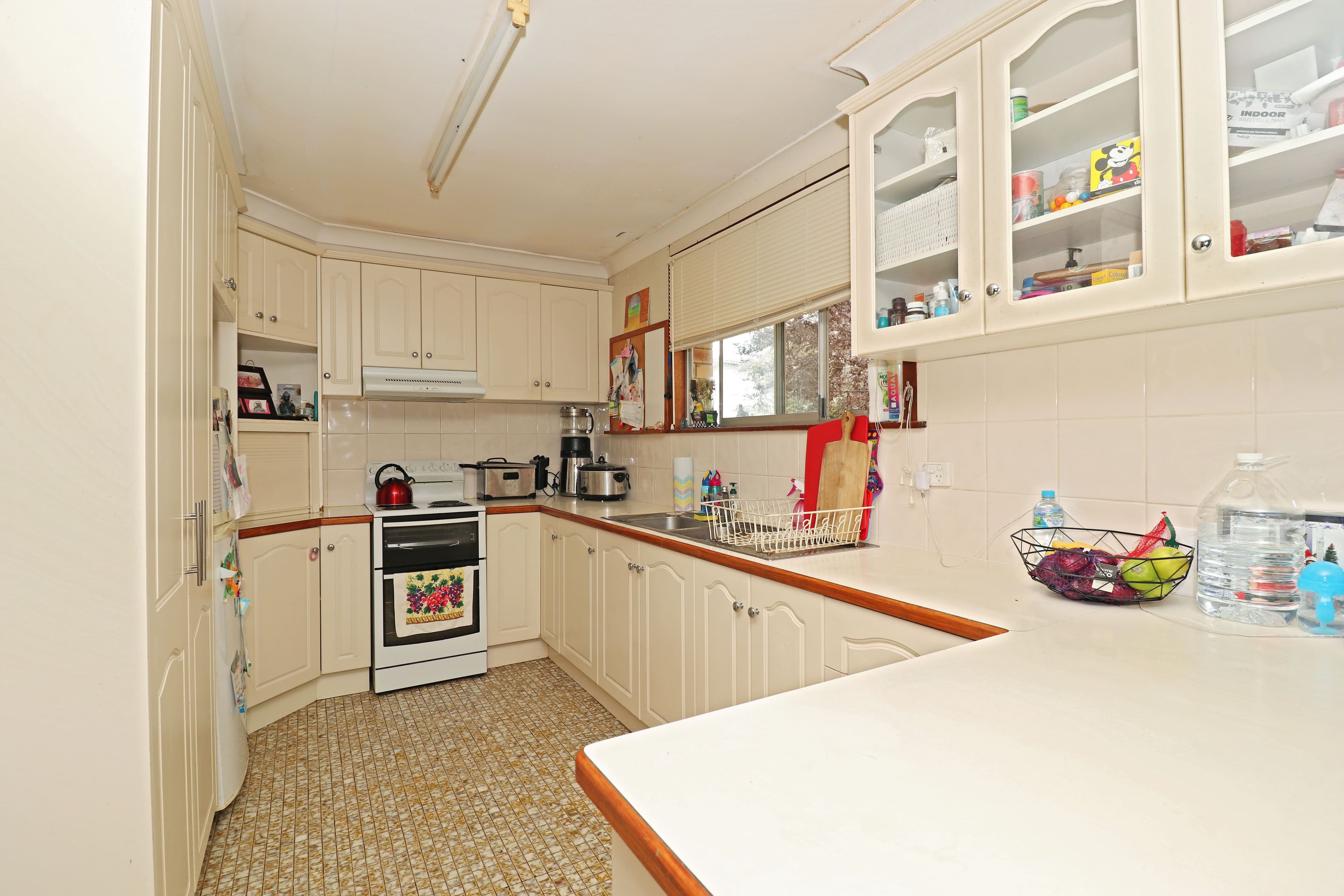 25 Redgwell Street, Warwick QLD 4370, Warwick - Thumbnail 4