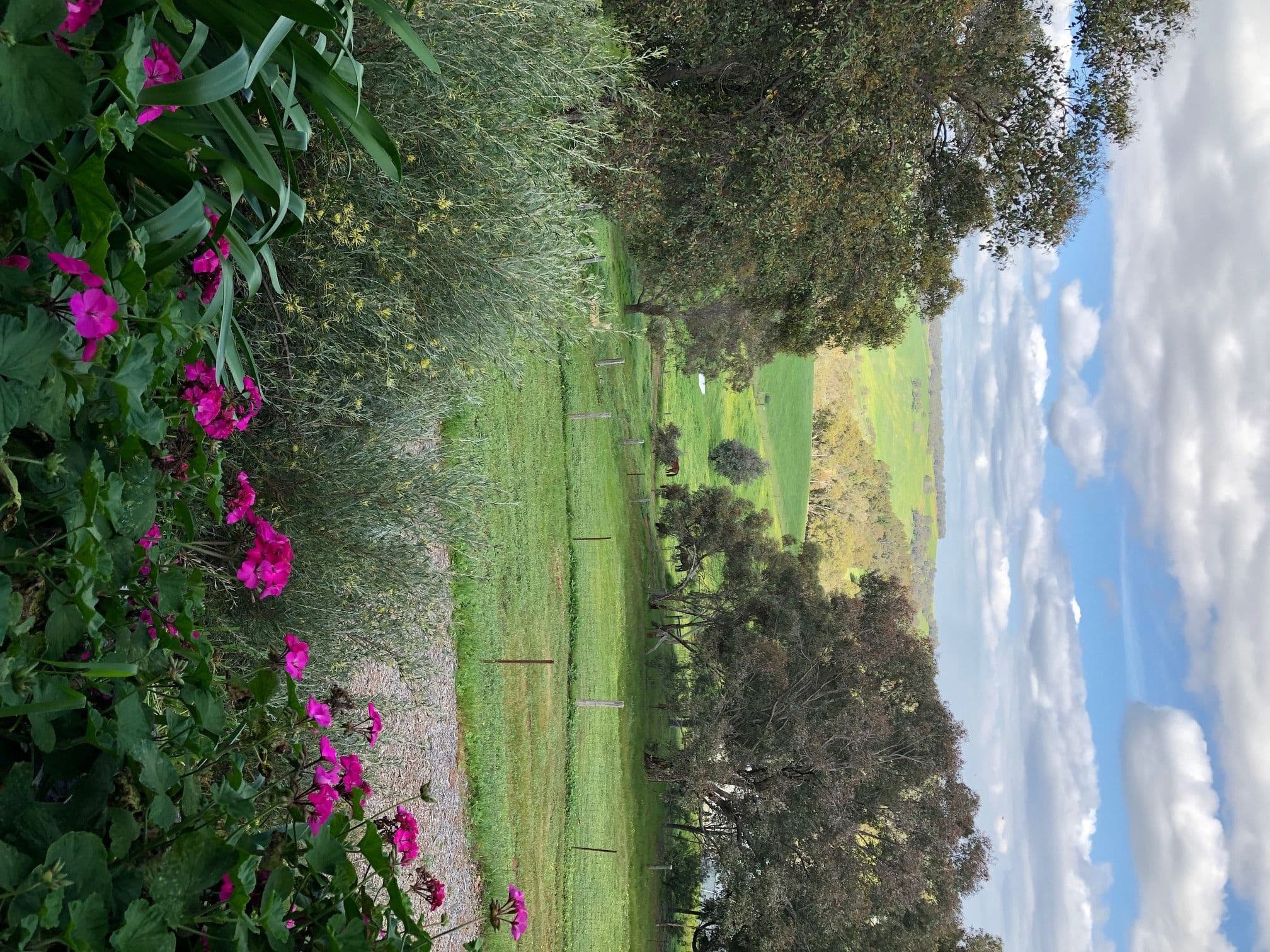 20 Fraser Road, Bullsbrook WA 6084, Bullsbrook - Thumbnail 3