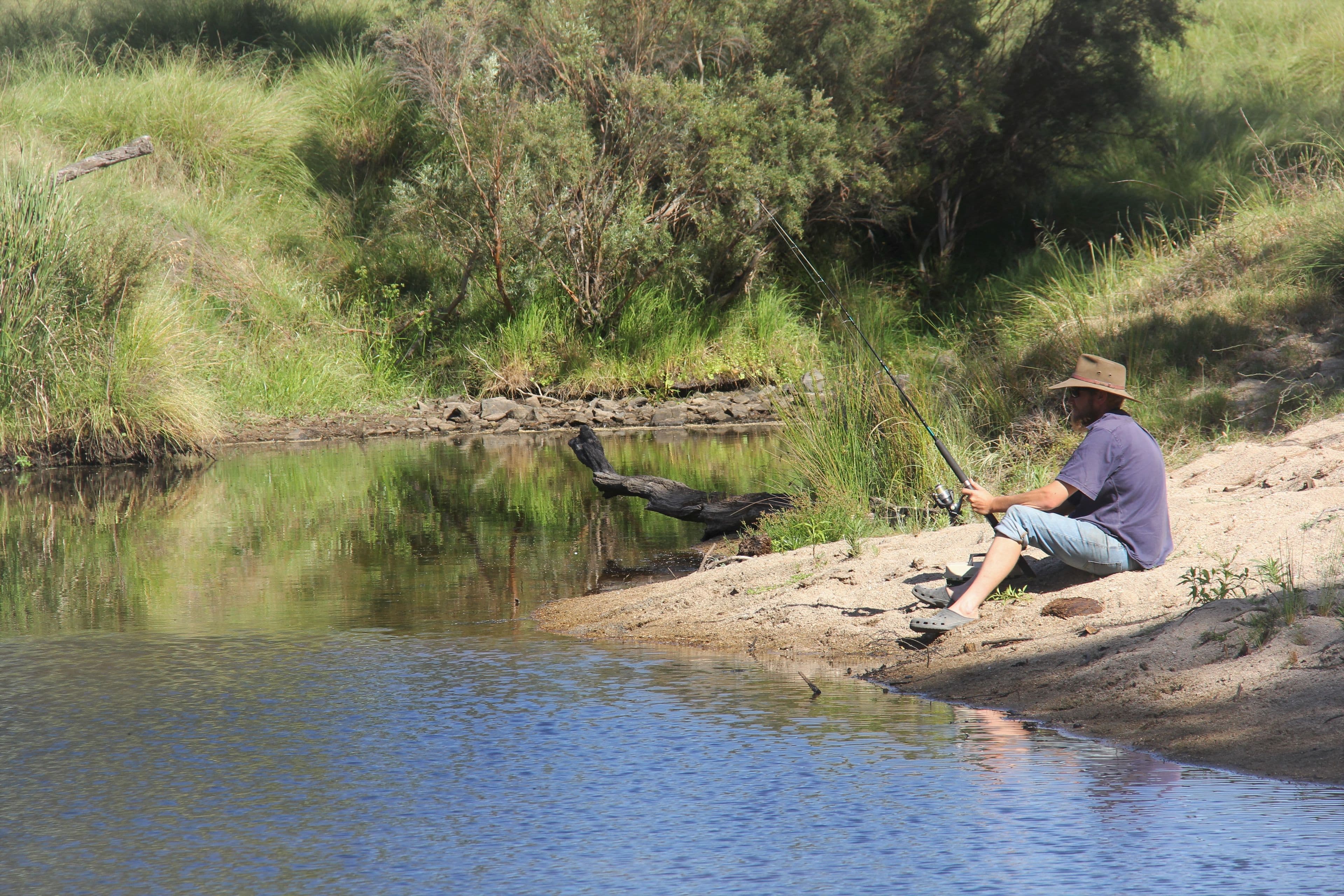 77 Tarban Loop Road, Tenterfield NSW 2372, Tenterfield - Thumbnail 3