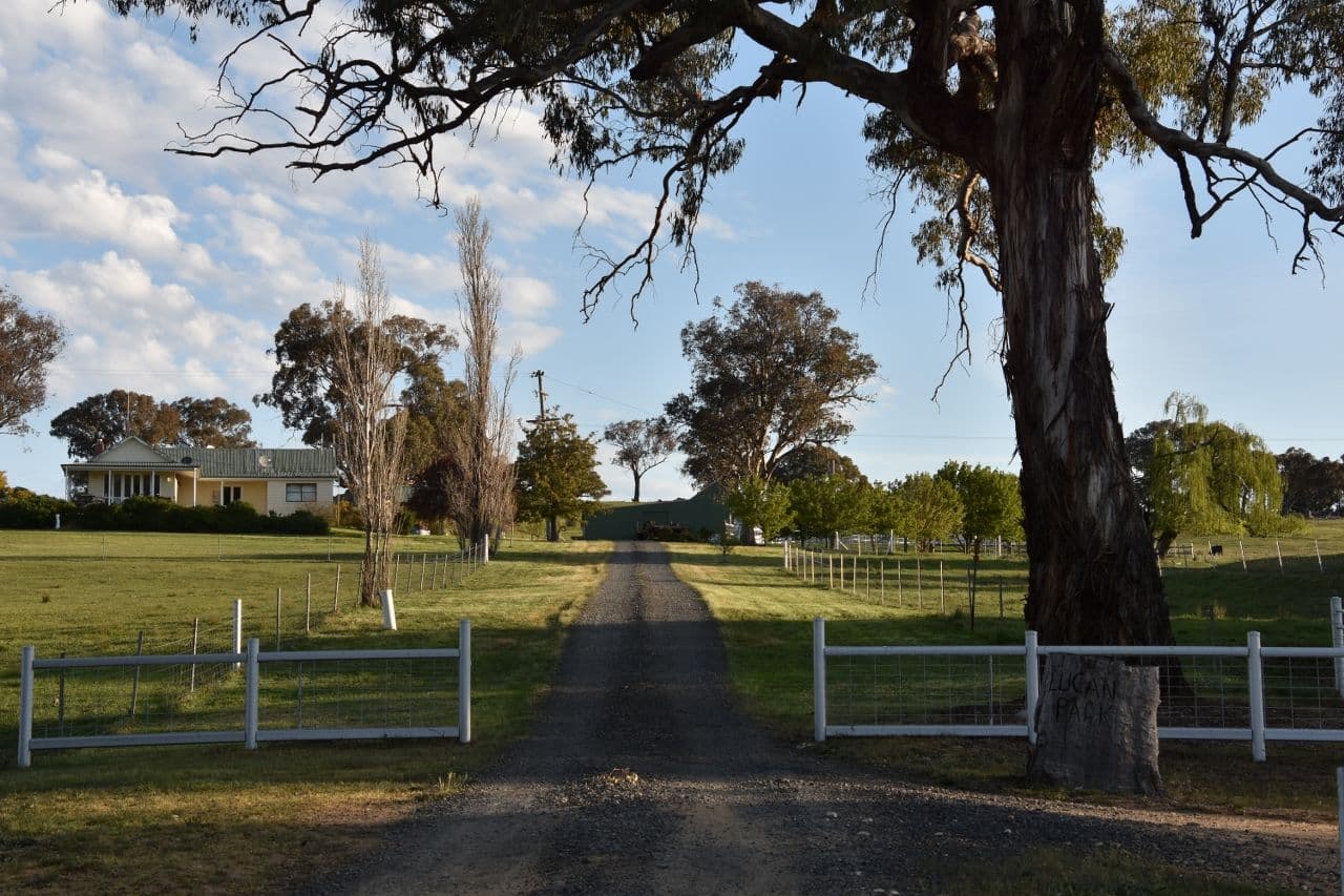 401 Lucan Road, Lyndhurst NSW 2797, Lyndhurst - Thumbnail 7