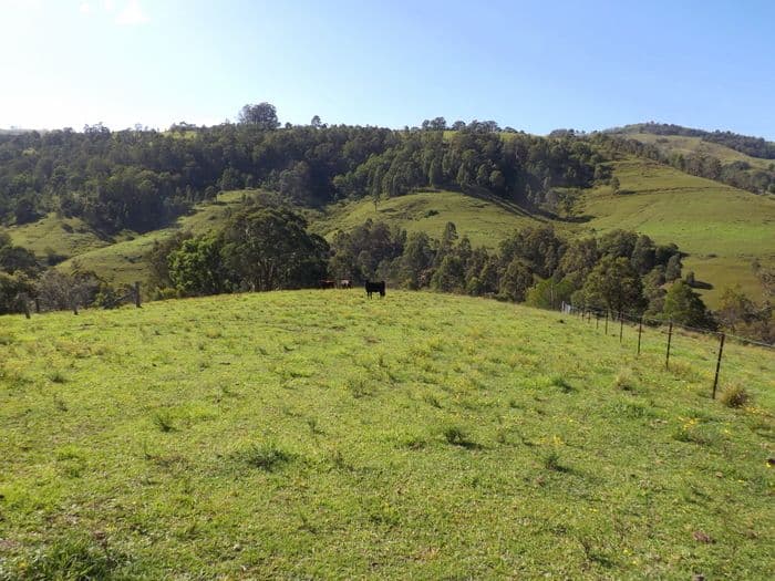 3322 Mirannie Road, Singleton NSW 2330, Singleton - Image 1