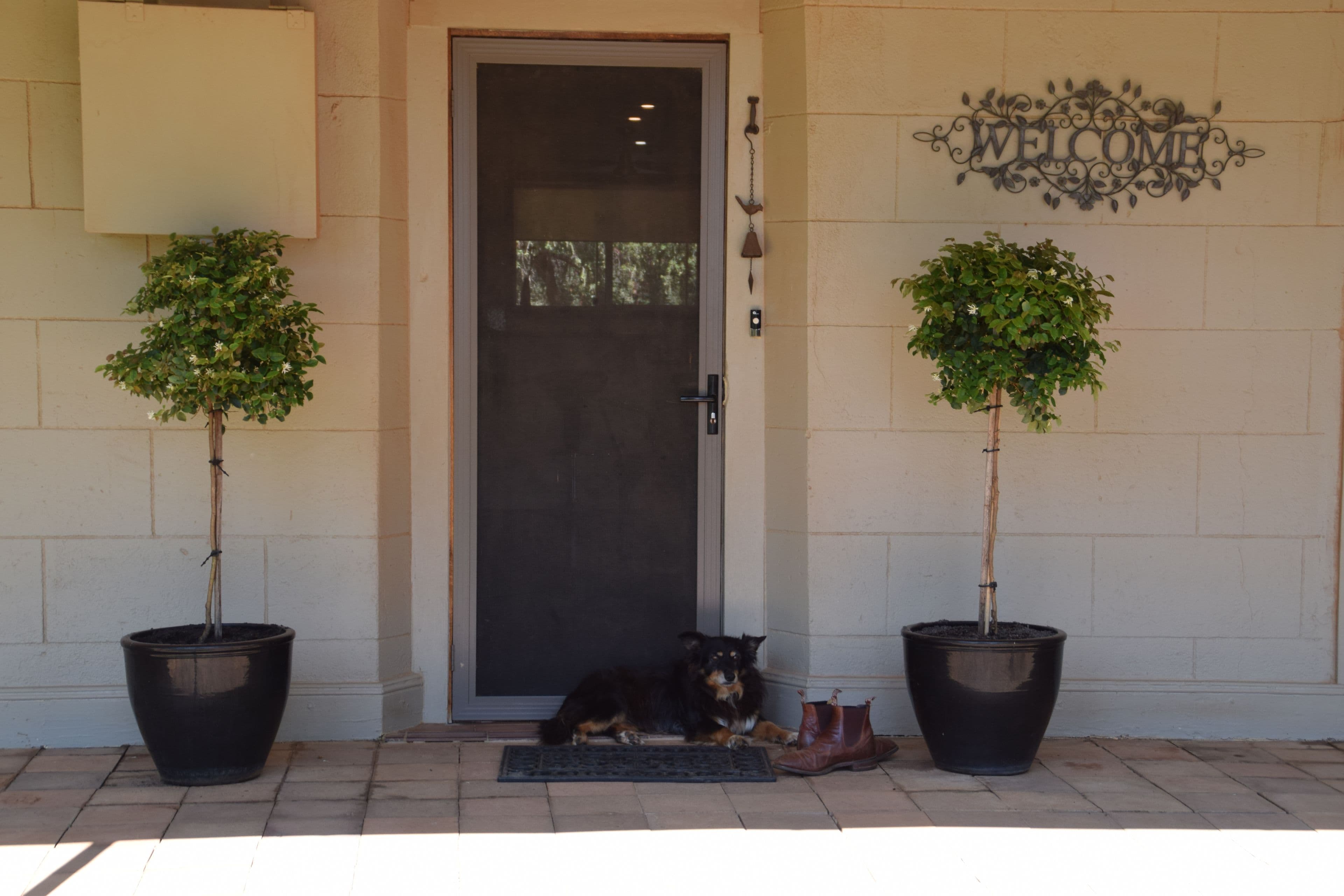 'Iona' 162 Craigie Lea Lane, Narromine NSW 2821, Narromine - Thumbnail 4