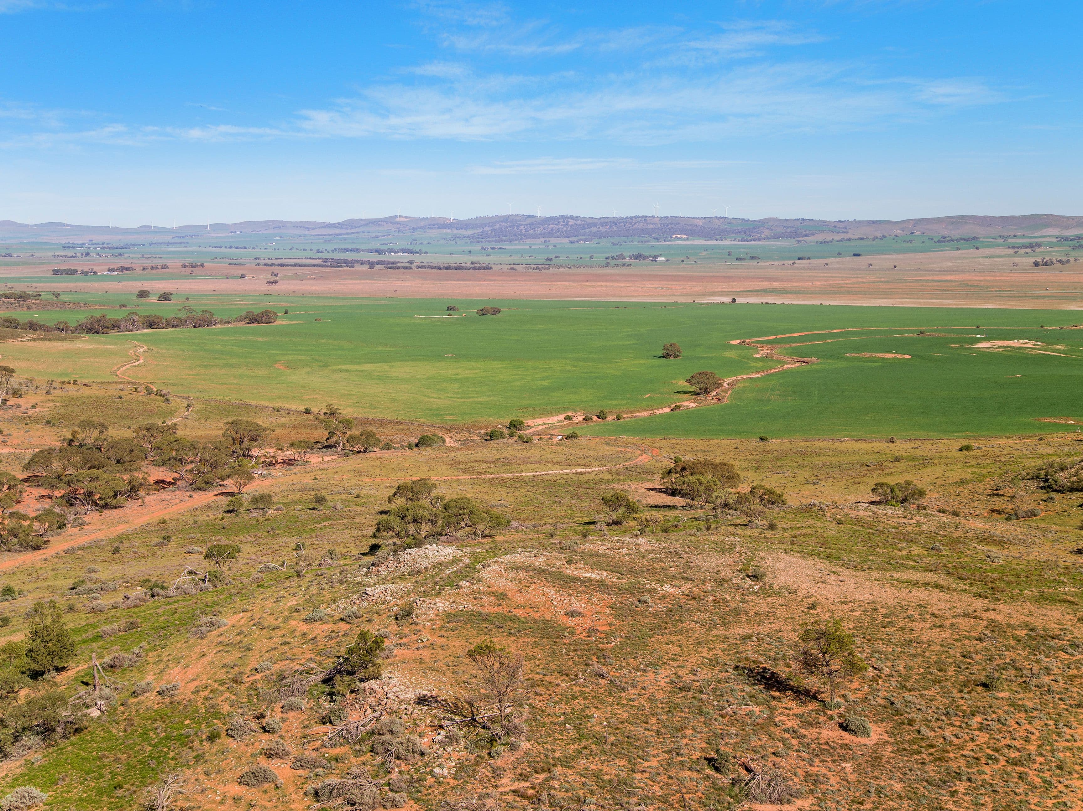 'Reidy's' Bob Road, Yatina SA 5422, Yatina - Image 1