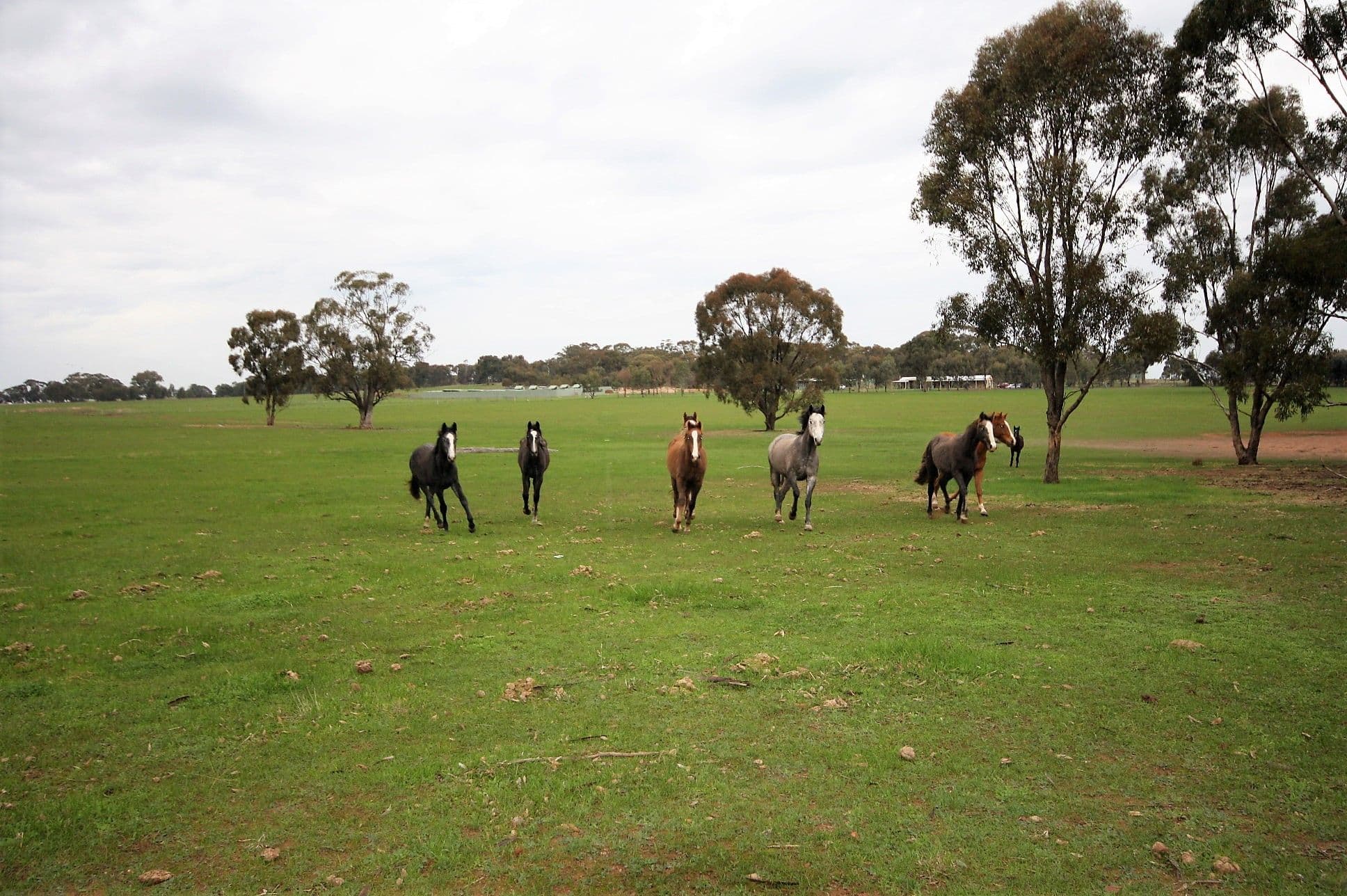 CA21 & 22 Heathcote-Rochester Road, BONN VIC 3561, Bonn - Image 1