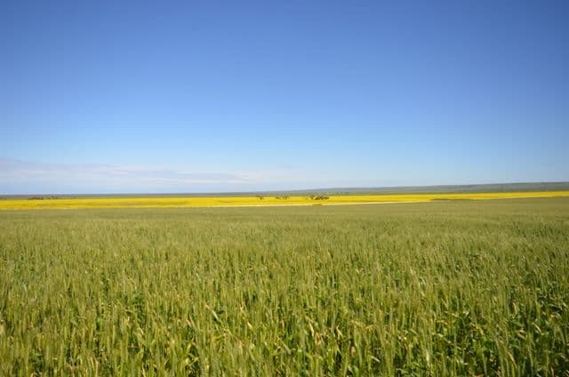 "Baldina" Lot 1 and 3, South Hummocks SA 5550, South Hummocks - Thumbnail 4