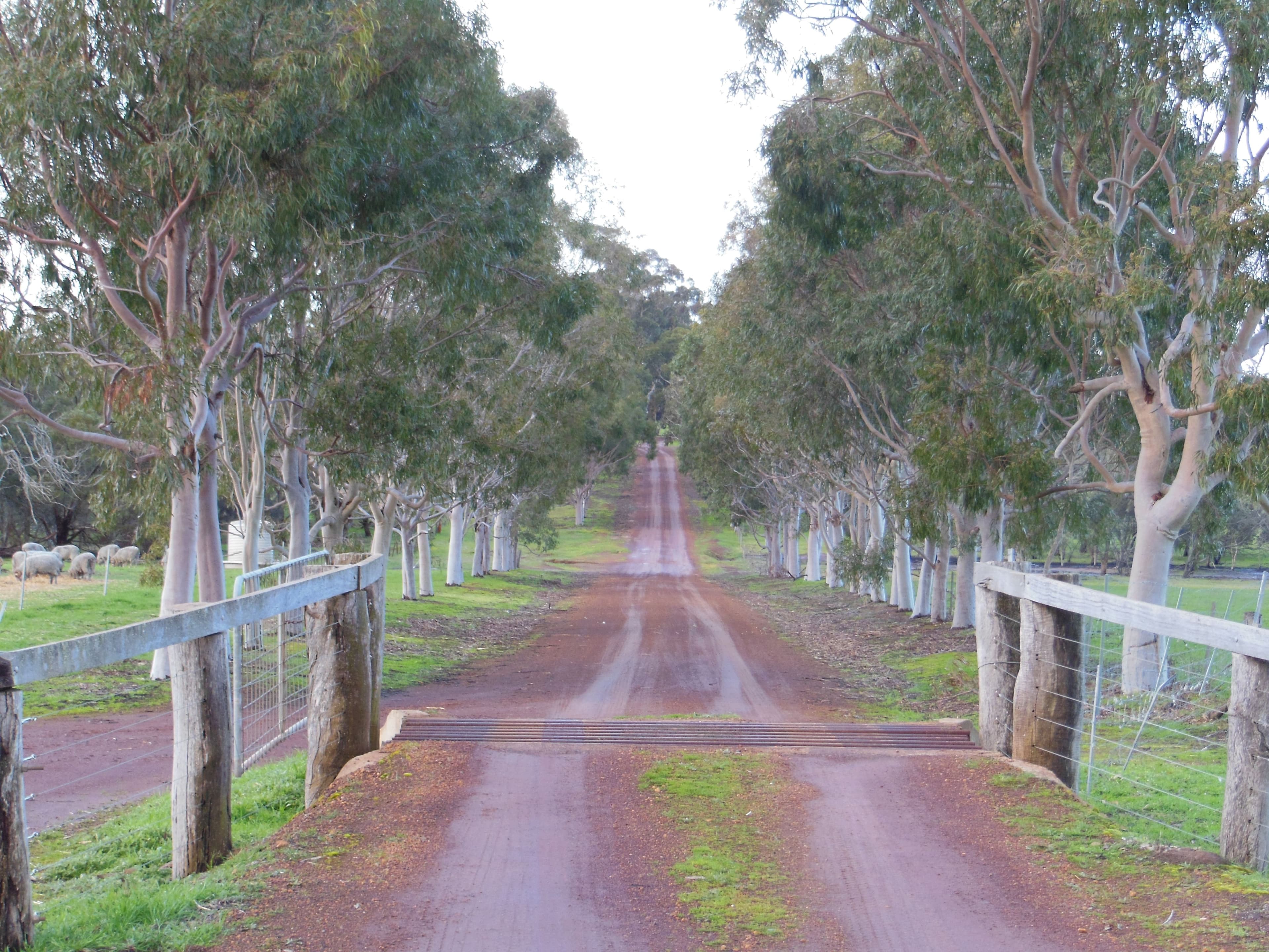 Aurora Albany Hwy and Cranbrook-Frankland Road, Cranbrook WA 6321, Cranbrook - Thumbnail 3