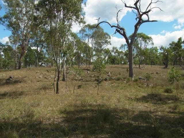 Lot 36 Leyburn Forestry Road, Thanes Creek QLD 4370, Thanes Creek - Thumbnail 4
