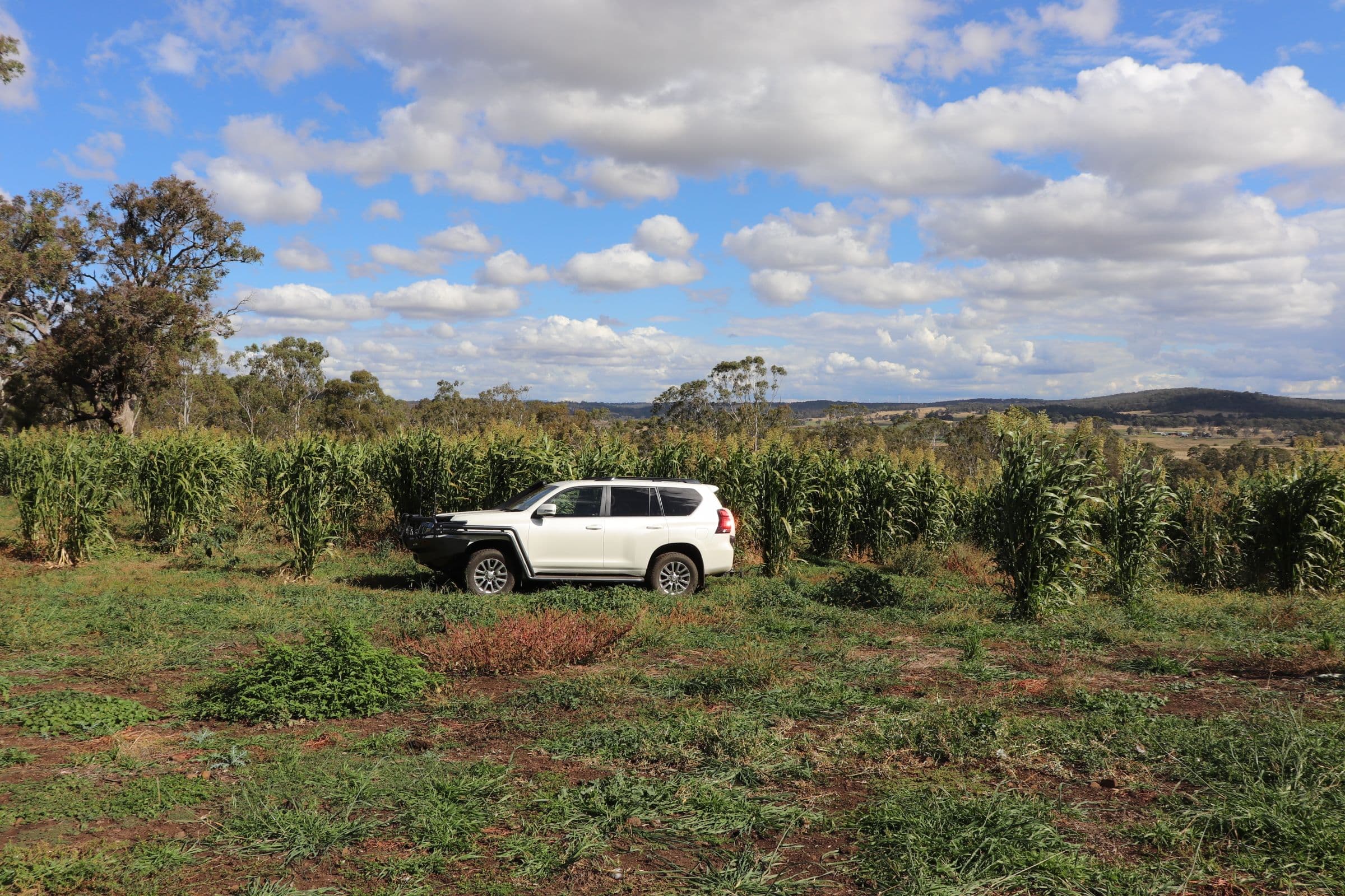 389 Oslo Road, Reddestone NSW 2370, Reddestone - Thumbnail 5