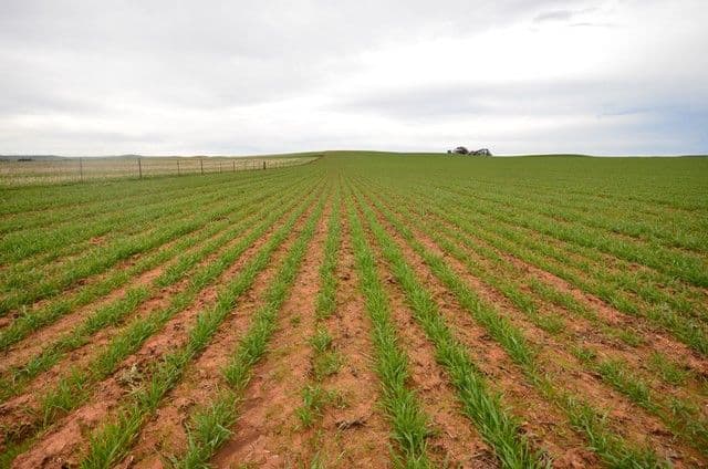 "North Kimbo" Reilly Road, Booborowie SA 5417, Booborowie - Image 1