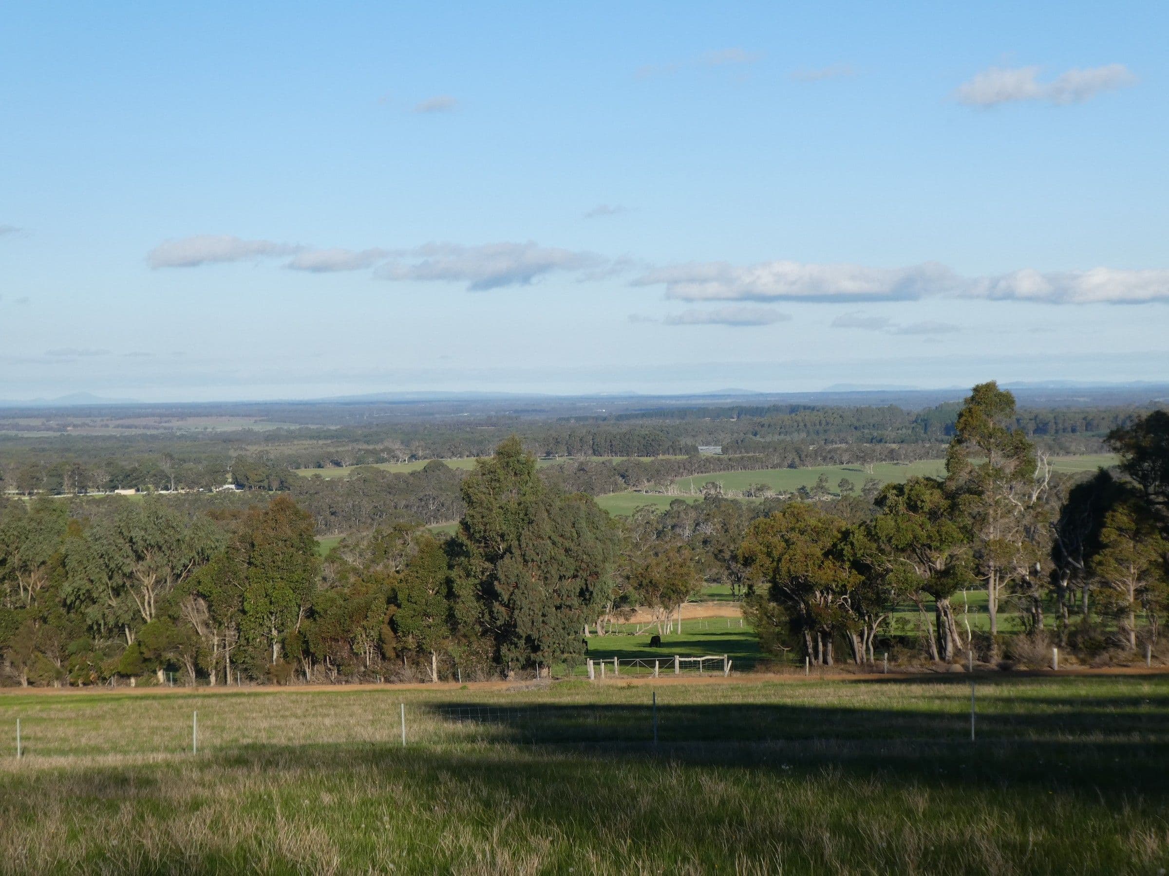 Lot 64 Braidwood Road, Mount Barker WA 6324, Mount Barker - Thumbnail 2