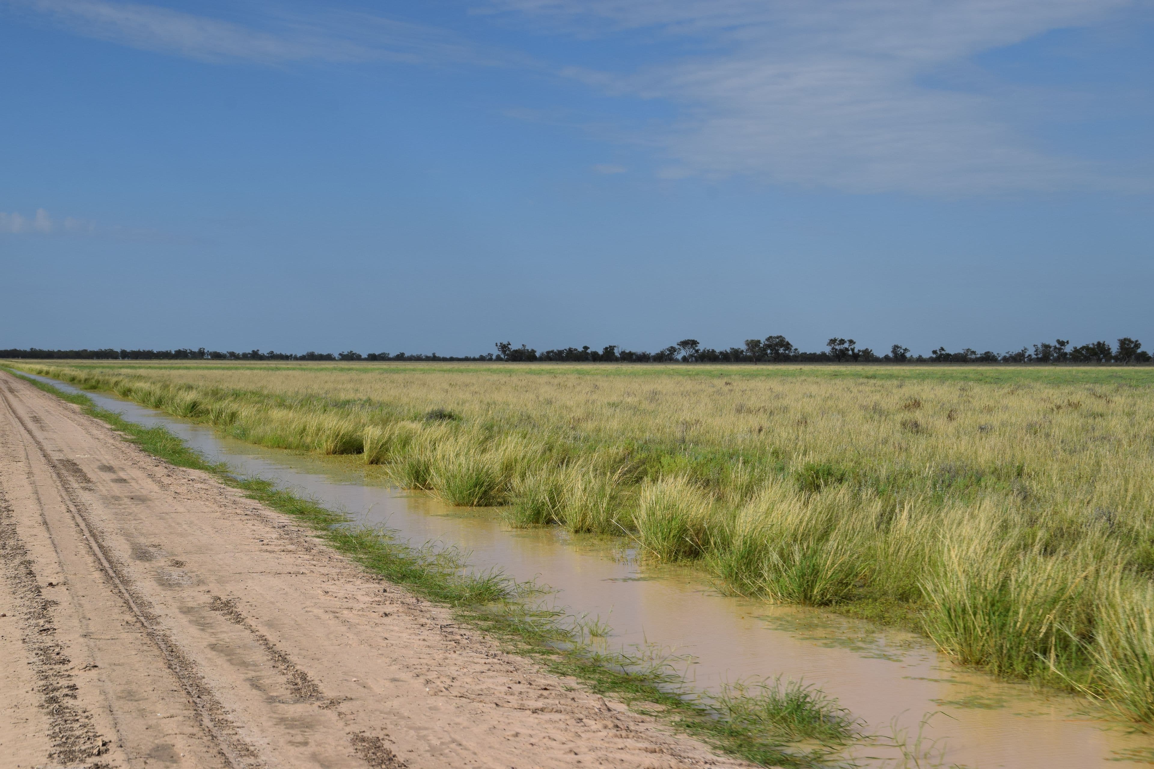 'Malabar' 2012 Wilby Wilby Road, Walgett NSW 2832, Walgett - Image 1