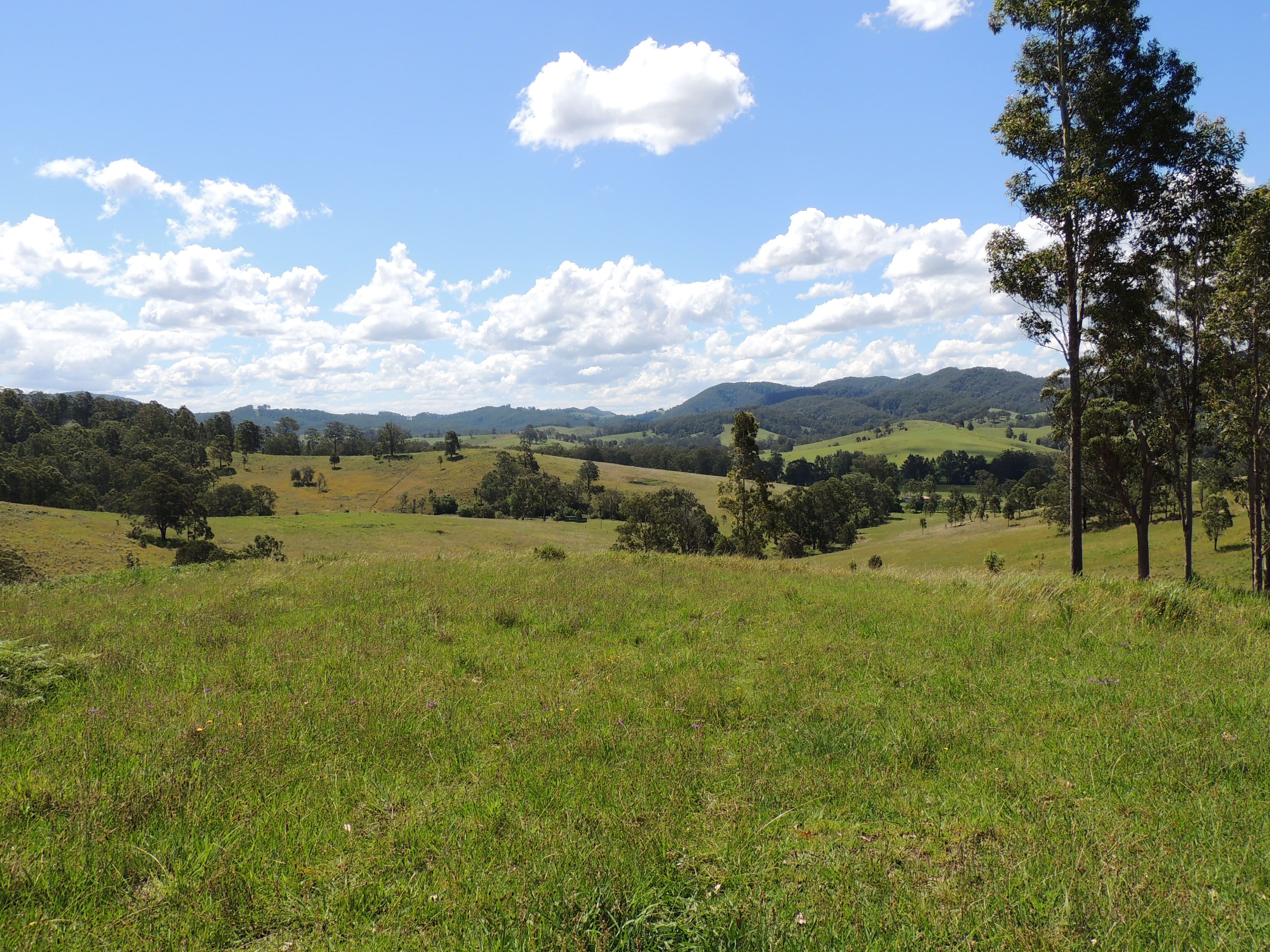 1079 Upper Myall Road, Bulahdelah NSW 2423, Bulahdelah - Thumbnail 3
