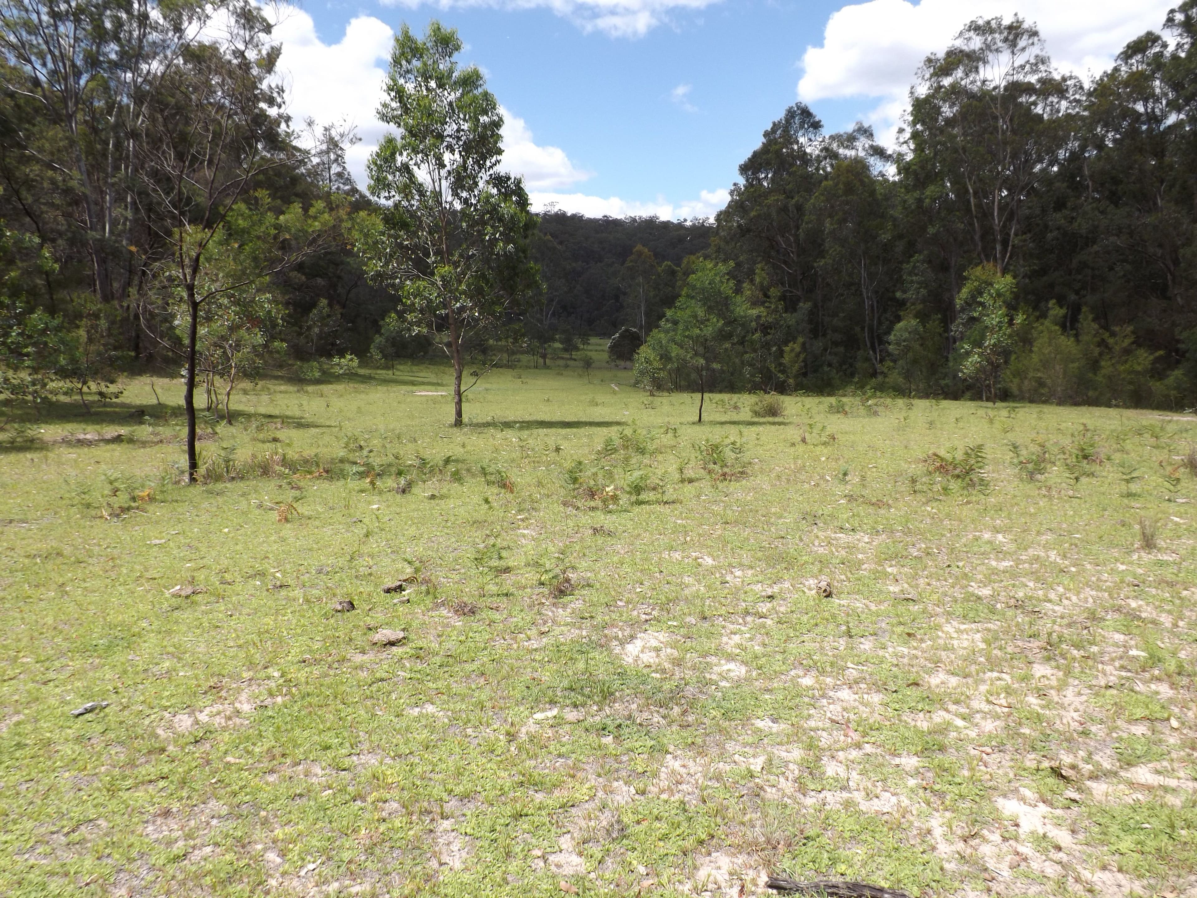 Garland Valley NSW 2330, Garland Valley - Thumbnail 4