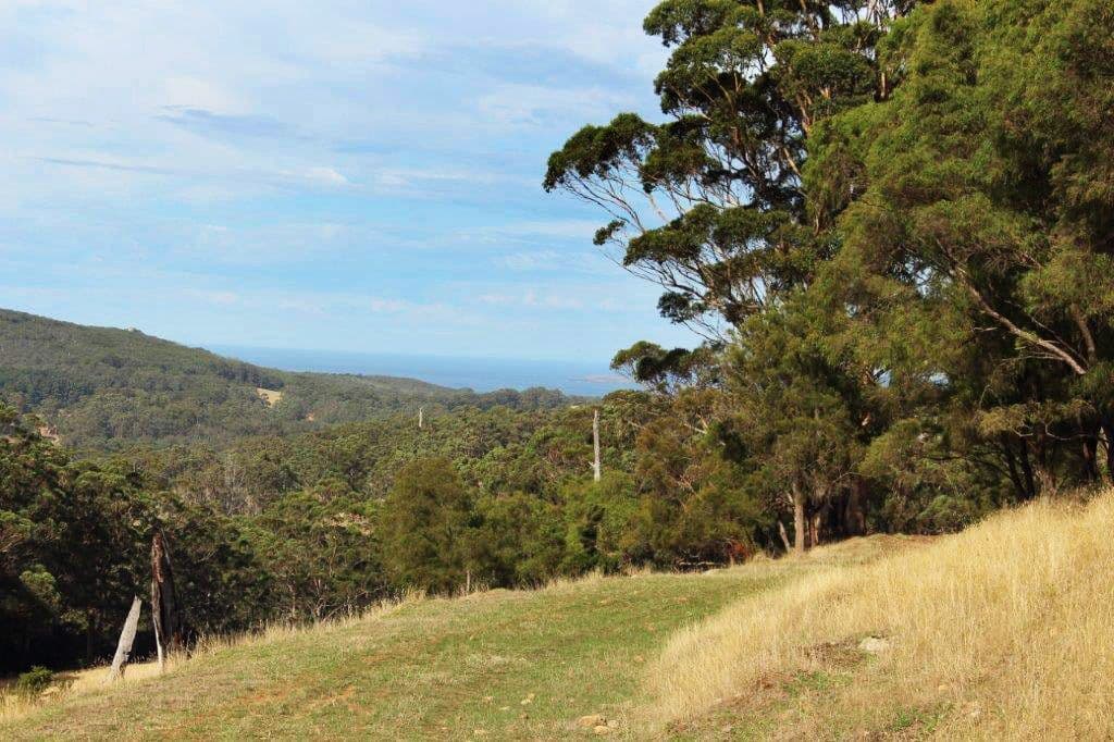 Lot 39 Middleton Close, Denmark WA 6333, Denmark - Image 1