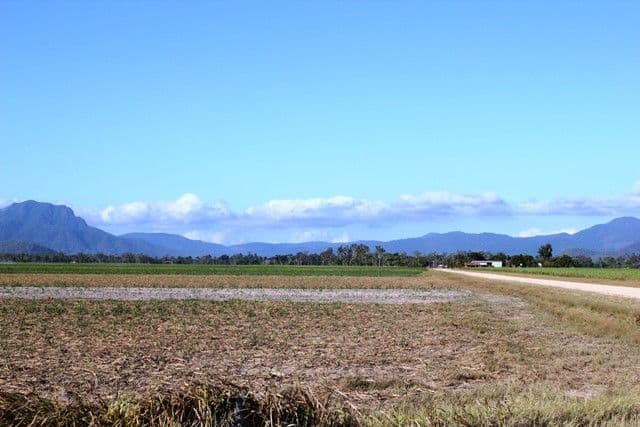 Lot 1 Scotts Road, Lannercost QLD 4850, Lannercost - Image 1