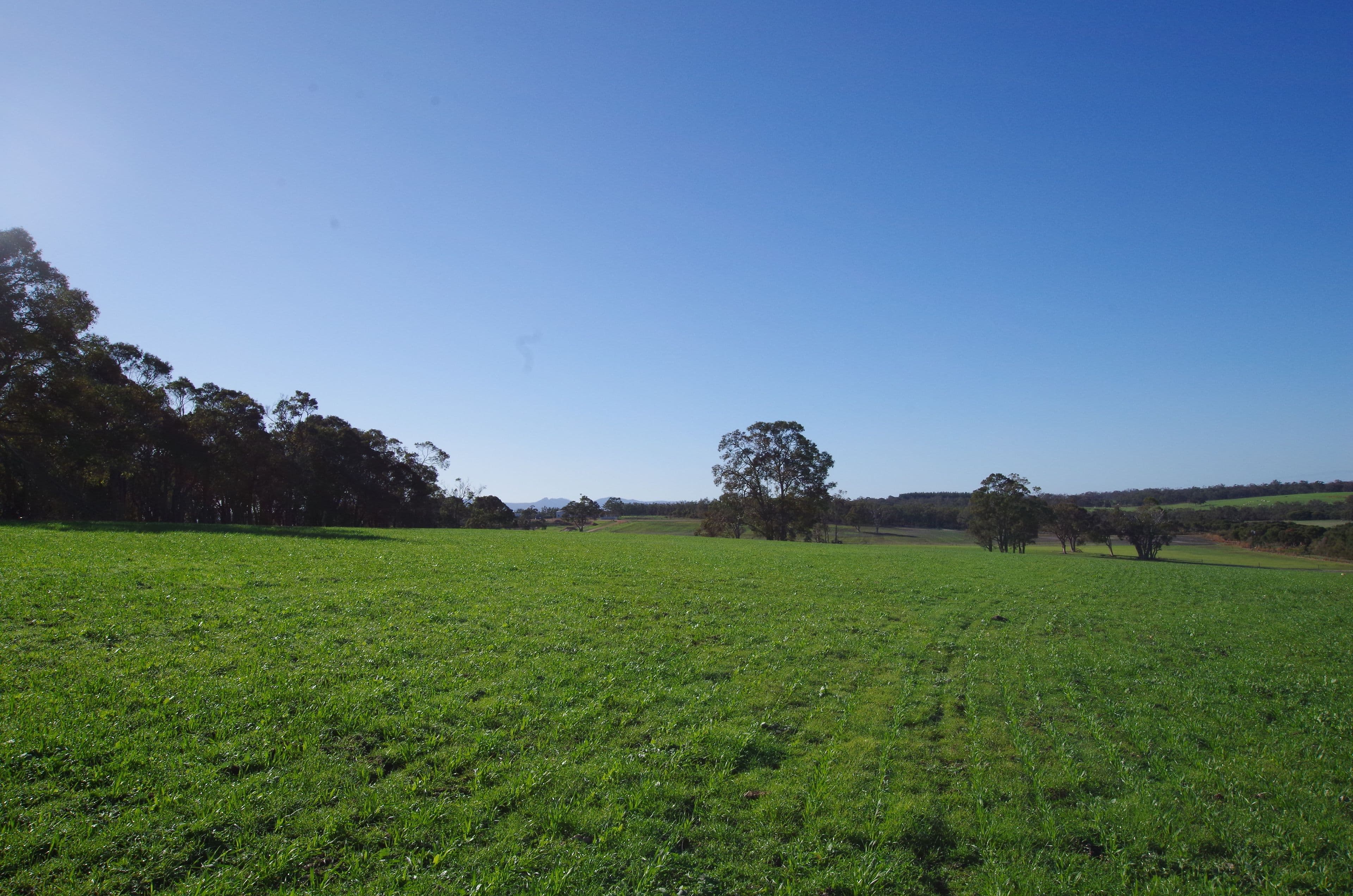 144 Spencer Road, Narrikup WA 6326, Narrikup - Thumbnail 8