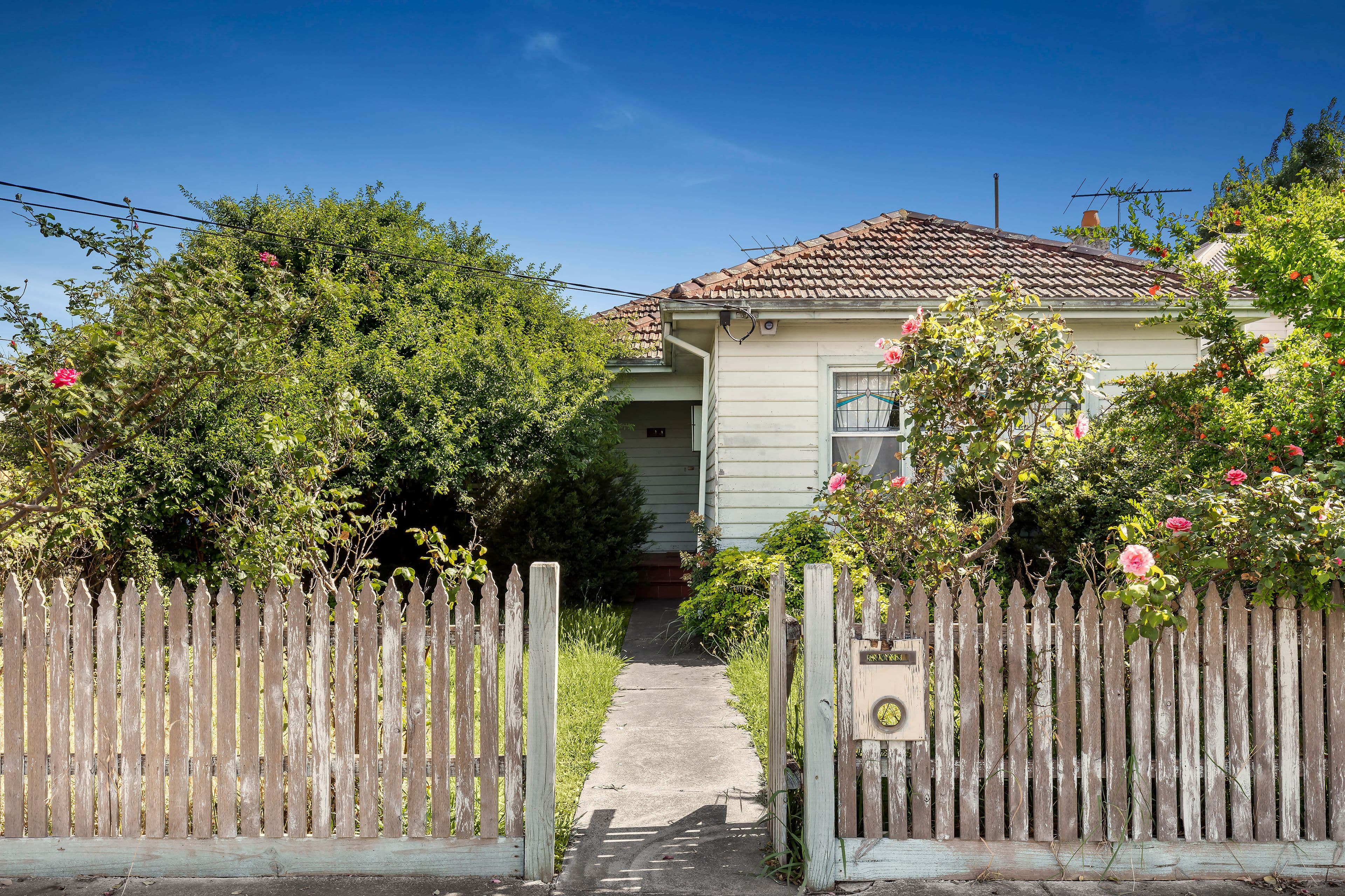 144 O'Hea Street, Coburg VIC 3058, Coburg - Thumbnail 5