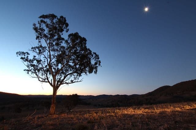 Lot 22 25 Todds Road, Wisemans Creek NSW 2795, Wisemans Creek - Thumbnail 5