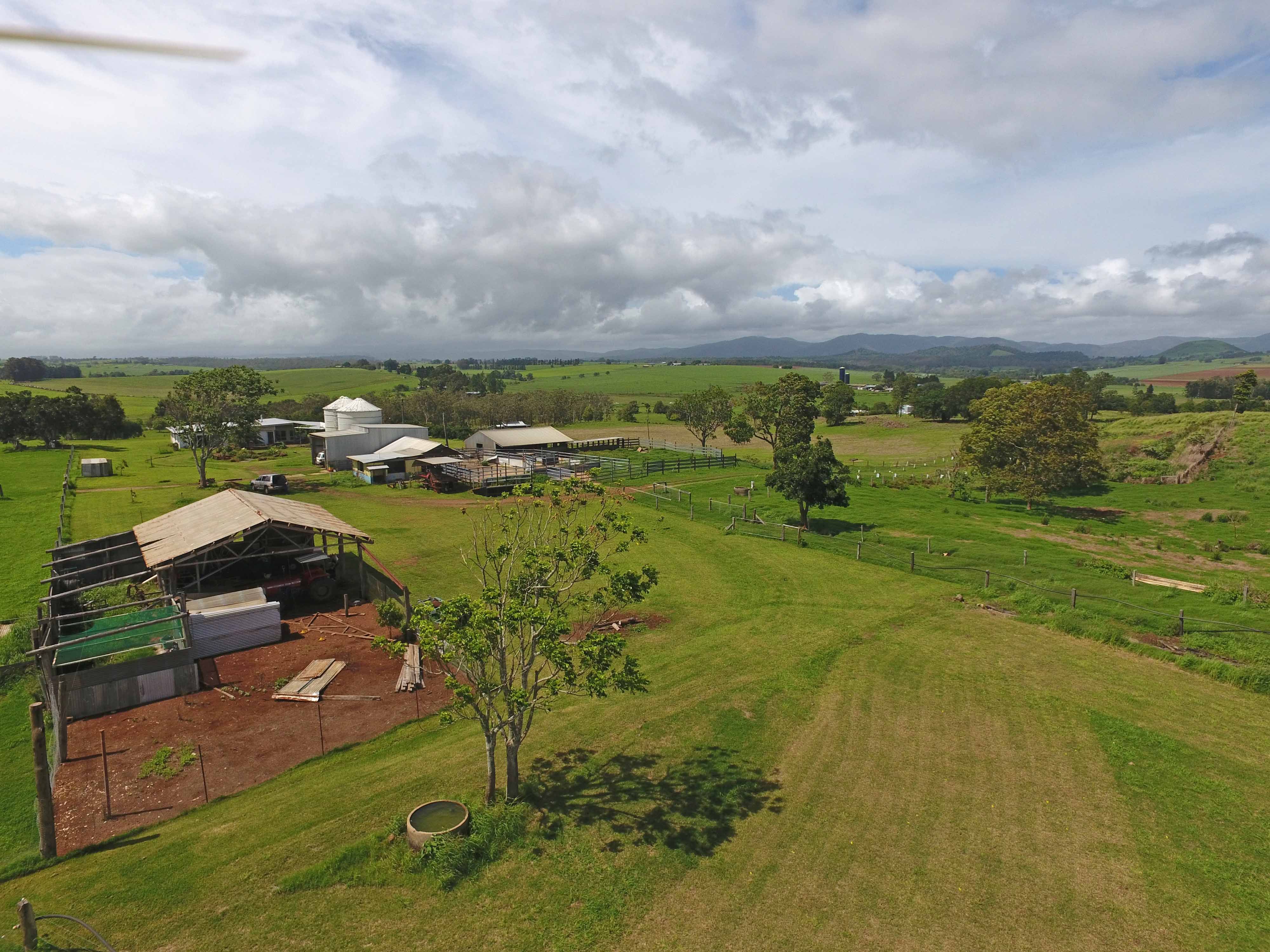 East Barron QLD 4883, East Barron - Thumbnail 5