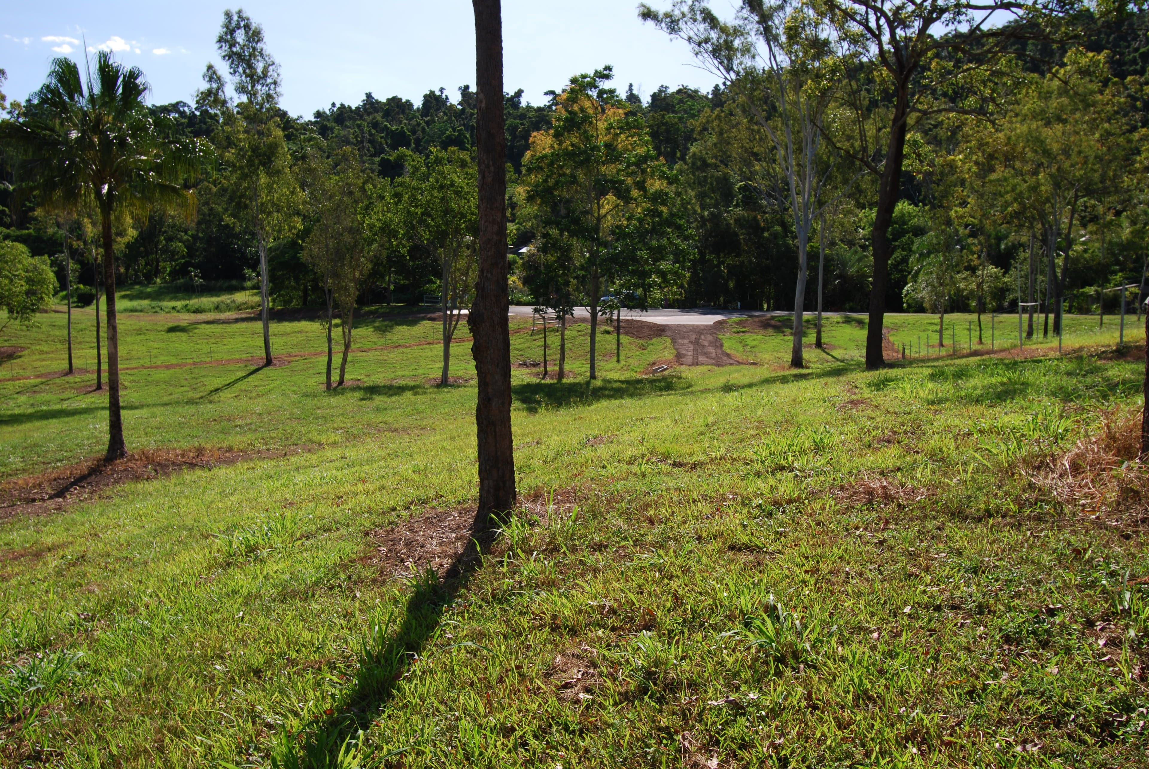 Lot 2 Domenica Road, Sugarloaf QLD 4800, Sugarloaf - Image 1