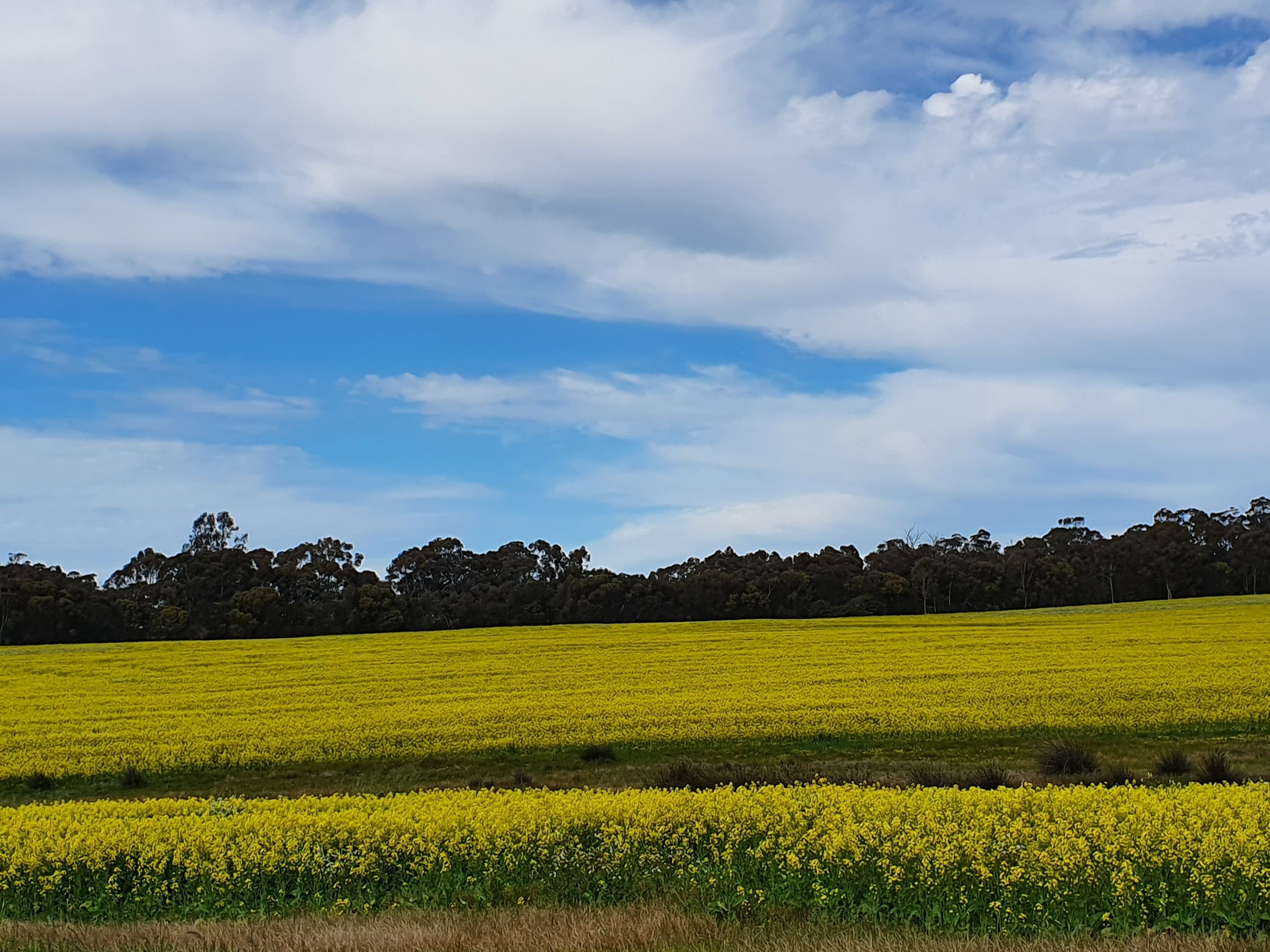 23 Westdale Road, Beverley WA 6304, Beverley - Thumbnail 7