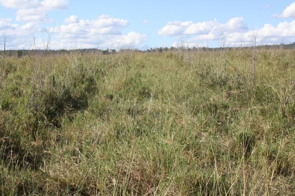 Lot 55 & 79 Burnett Highway, Eidsvold QLD 4627, Eidsvold - Thumbnail 6
