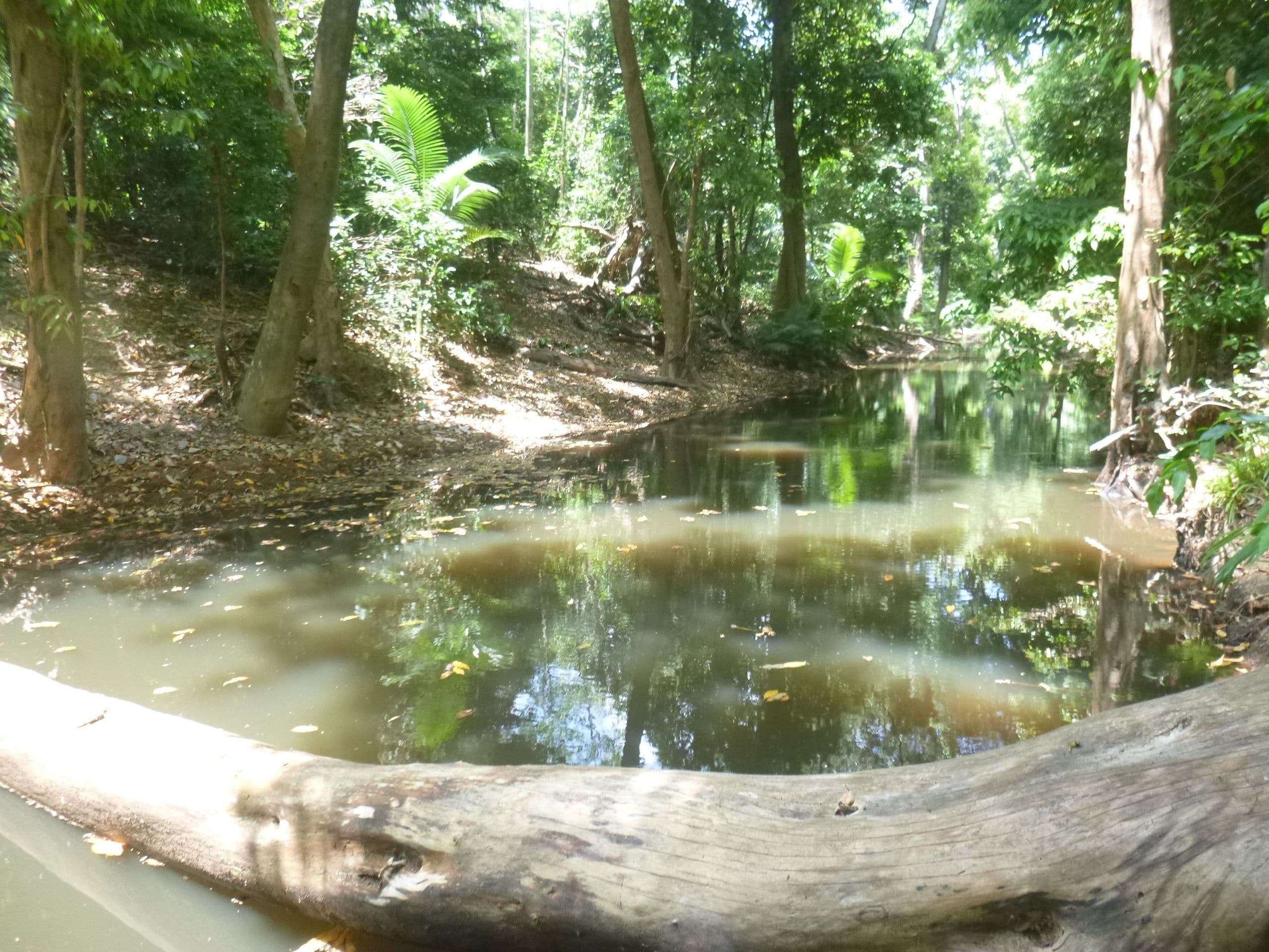 1957 Endeavour Valley Road, Cooktown QLD 4895, Cooktown - Thumbnail 3