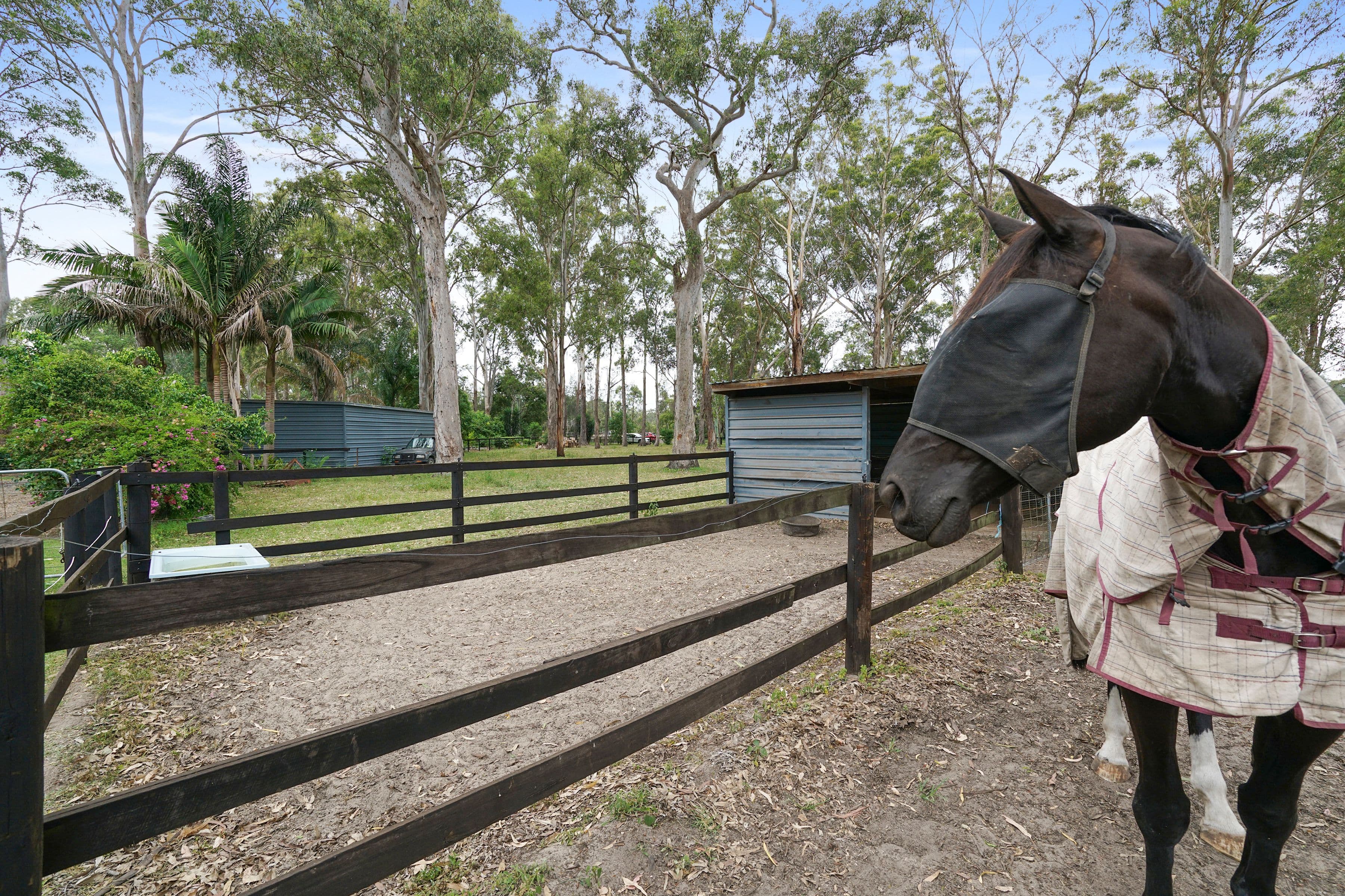 214 Freemans Drive, Morisset NSW 2264, Morisset - Thumbnail 5