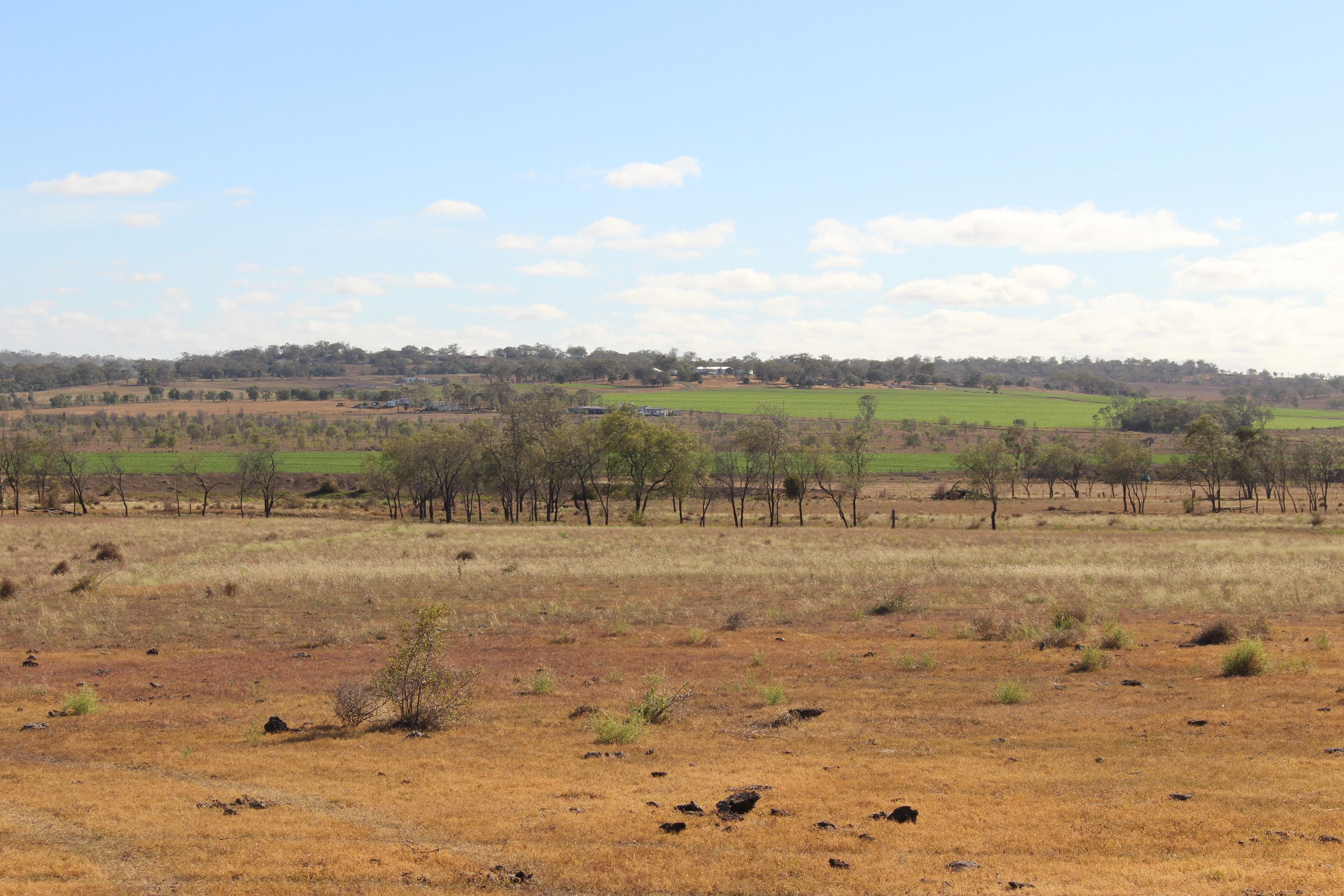 293 Heinemann Road, Scrubby Mountain, Pittsworth QLD 4356, Pittsworth - Image 1