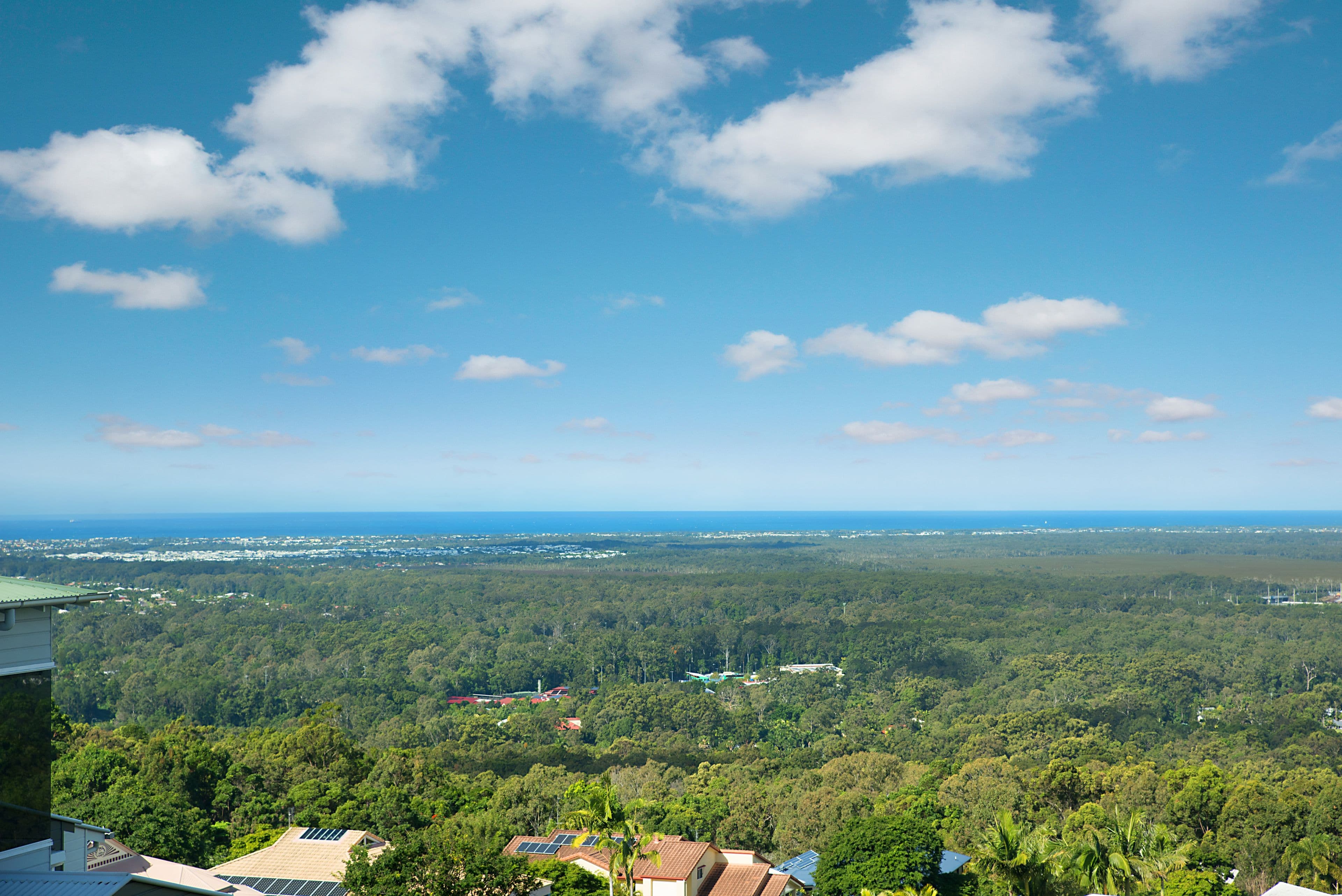 149 Burnett Street, Buderim QLD 4556, Buderim - Thumbnail 2